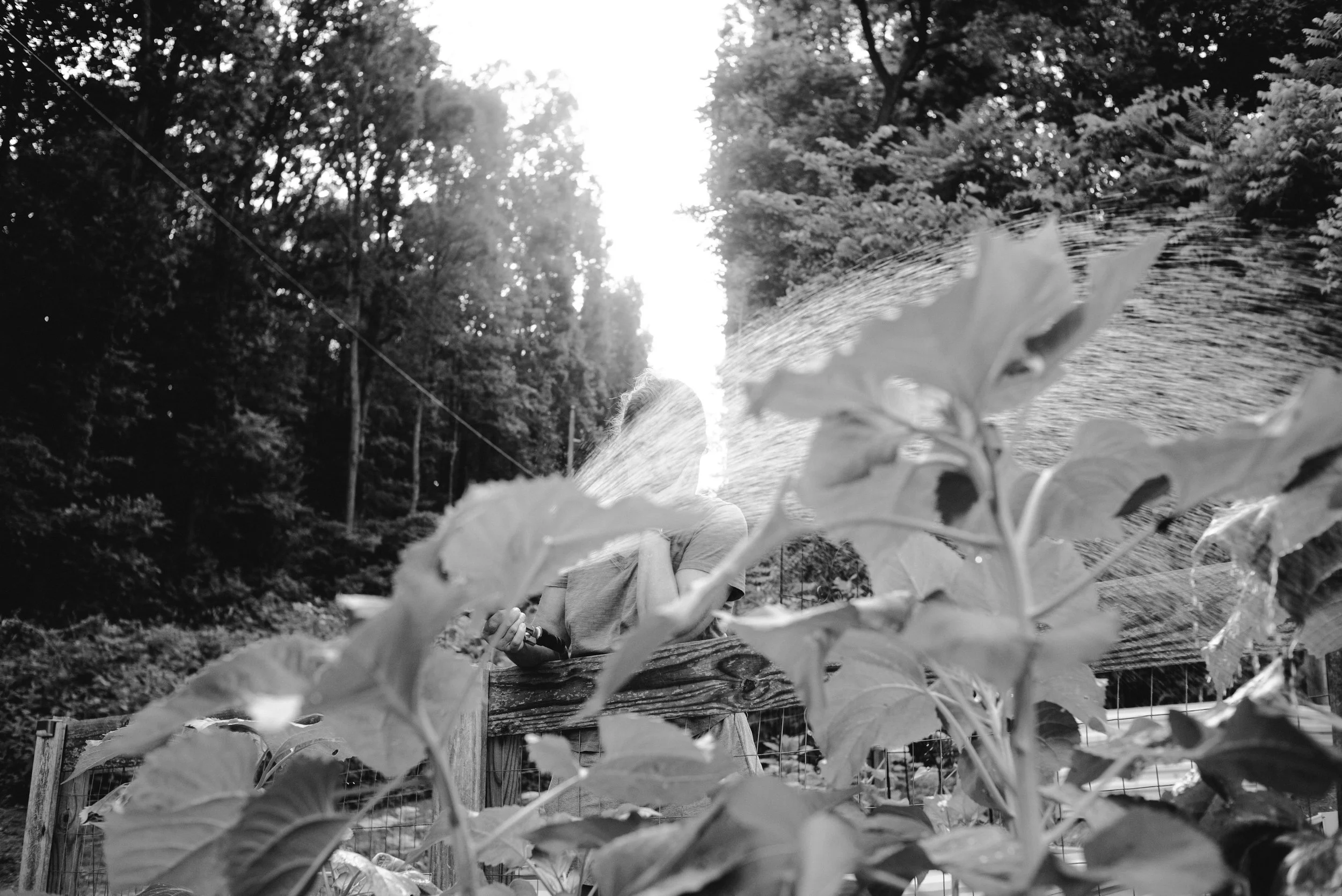 L1006004.jpg