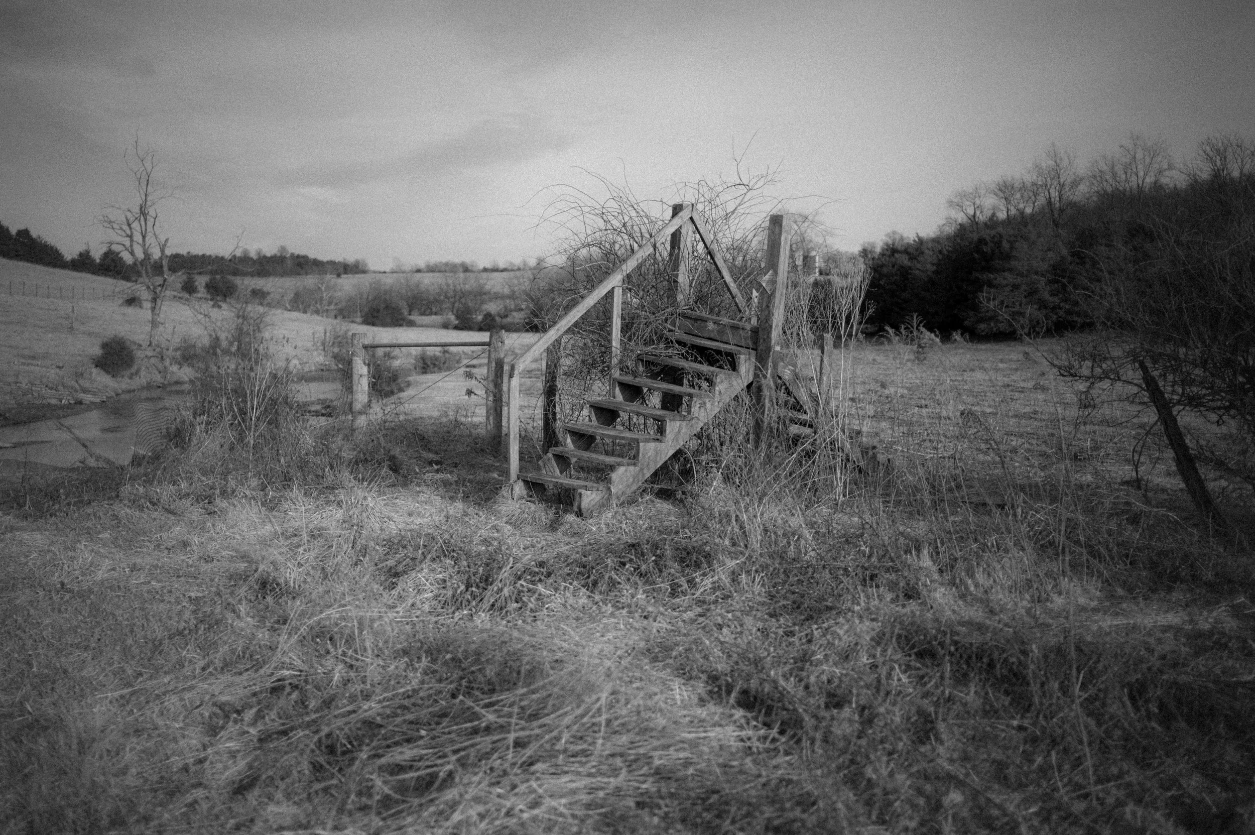 Old wooden staircase overgrown with grass and shrubs in rural landscape