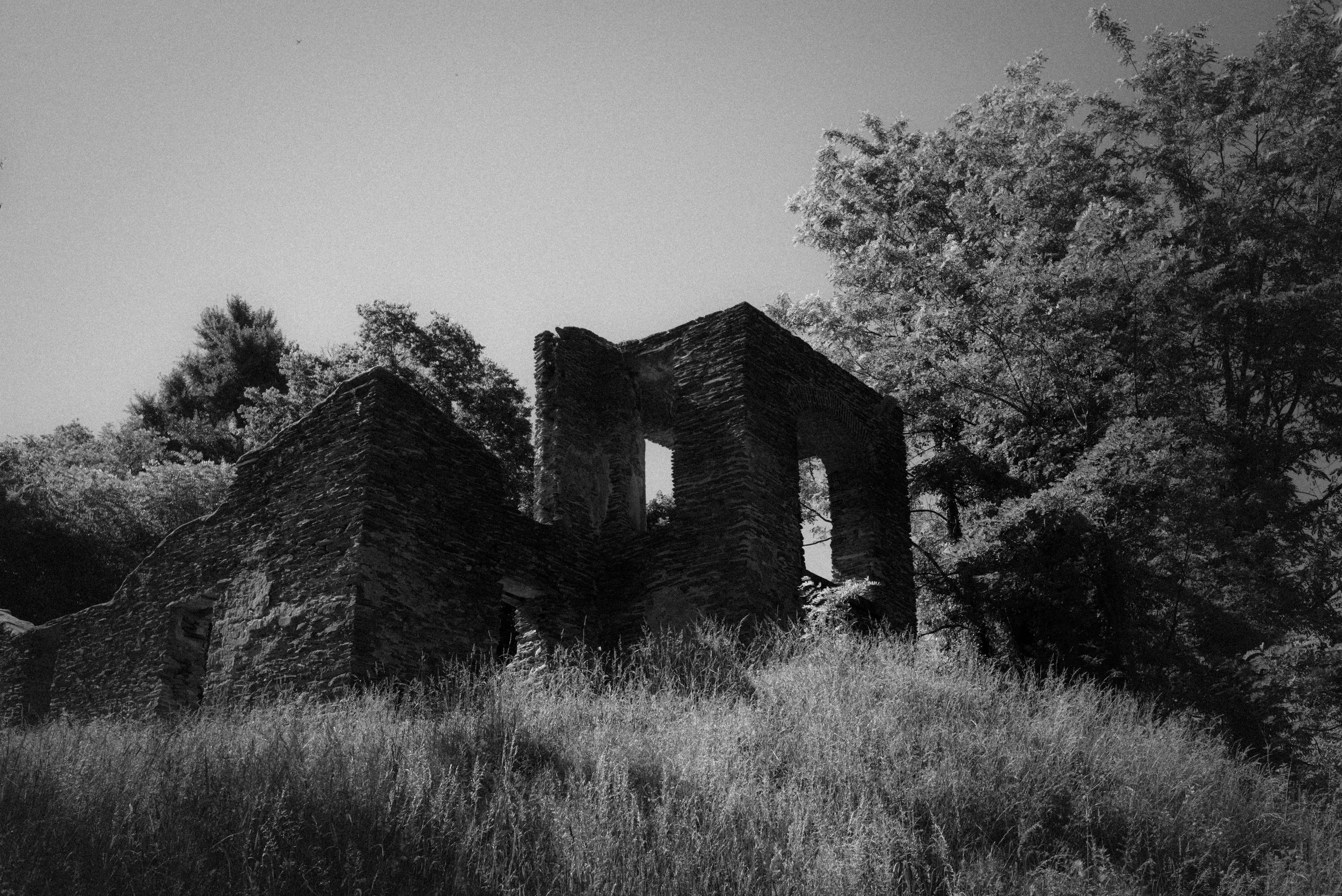 L1003378.jpg