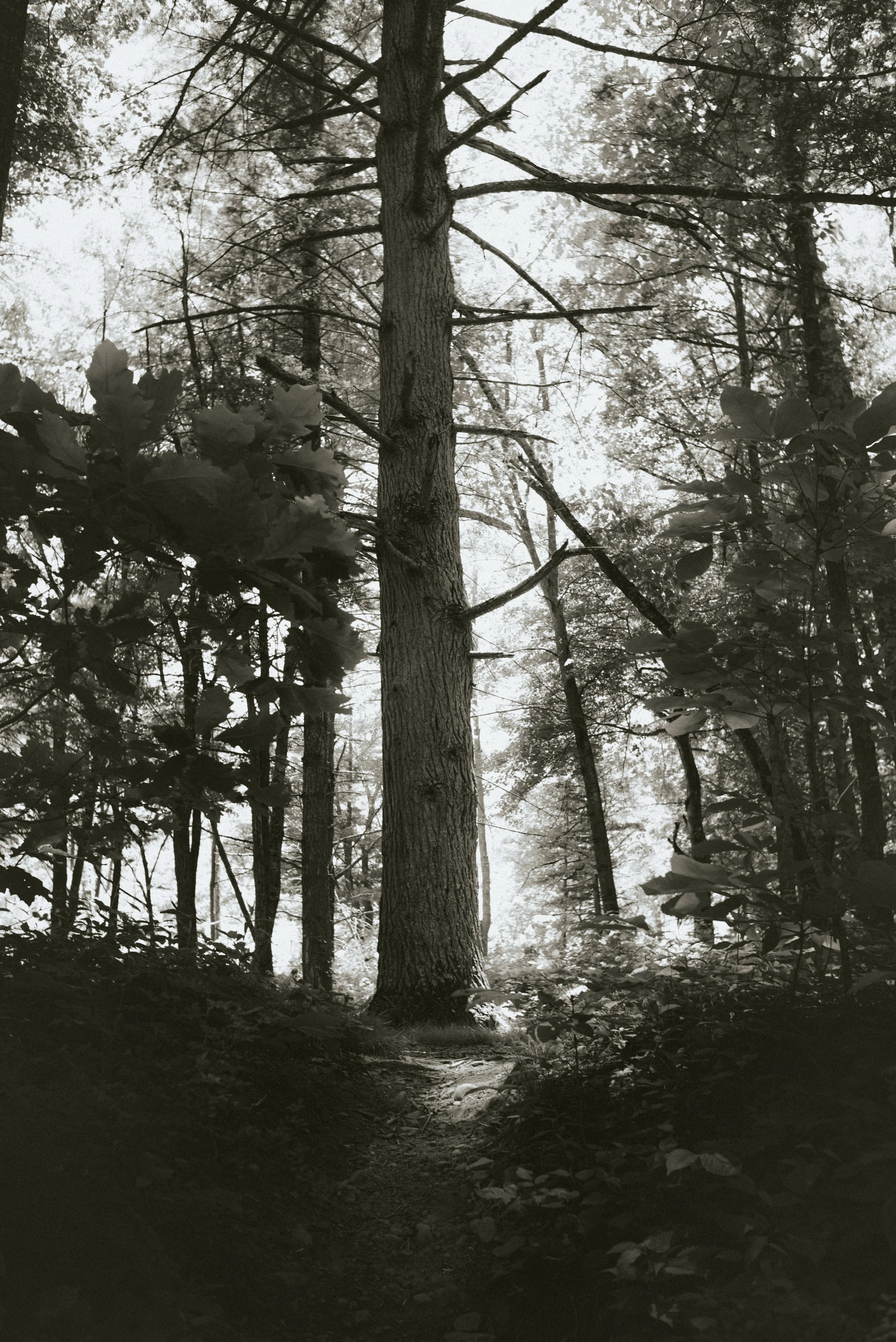 L1003853.jpg