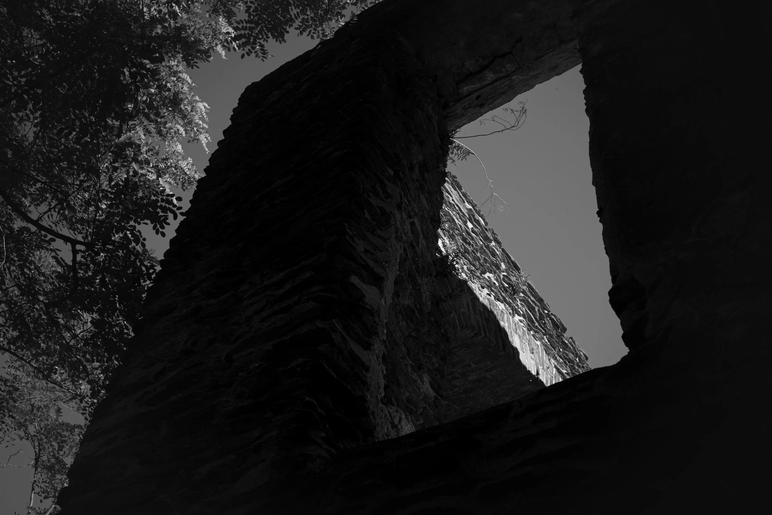 L1003392.jpg
