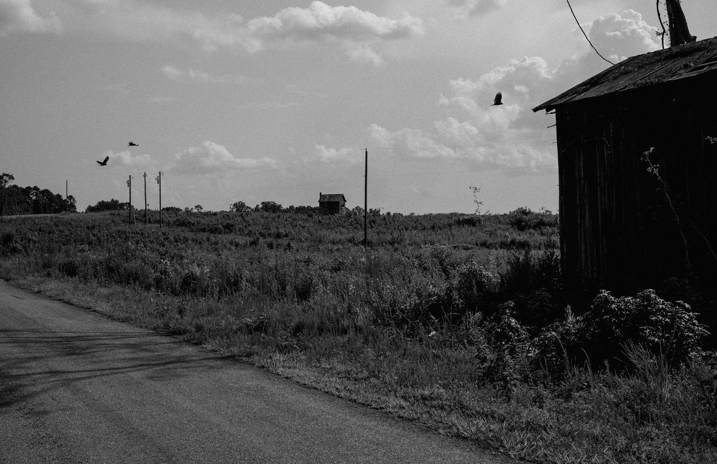 L1009804.jpg