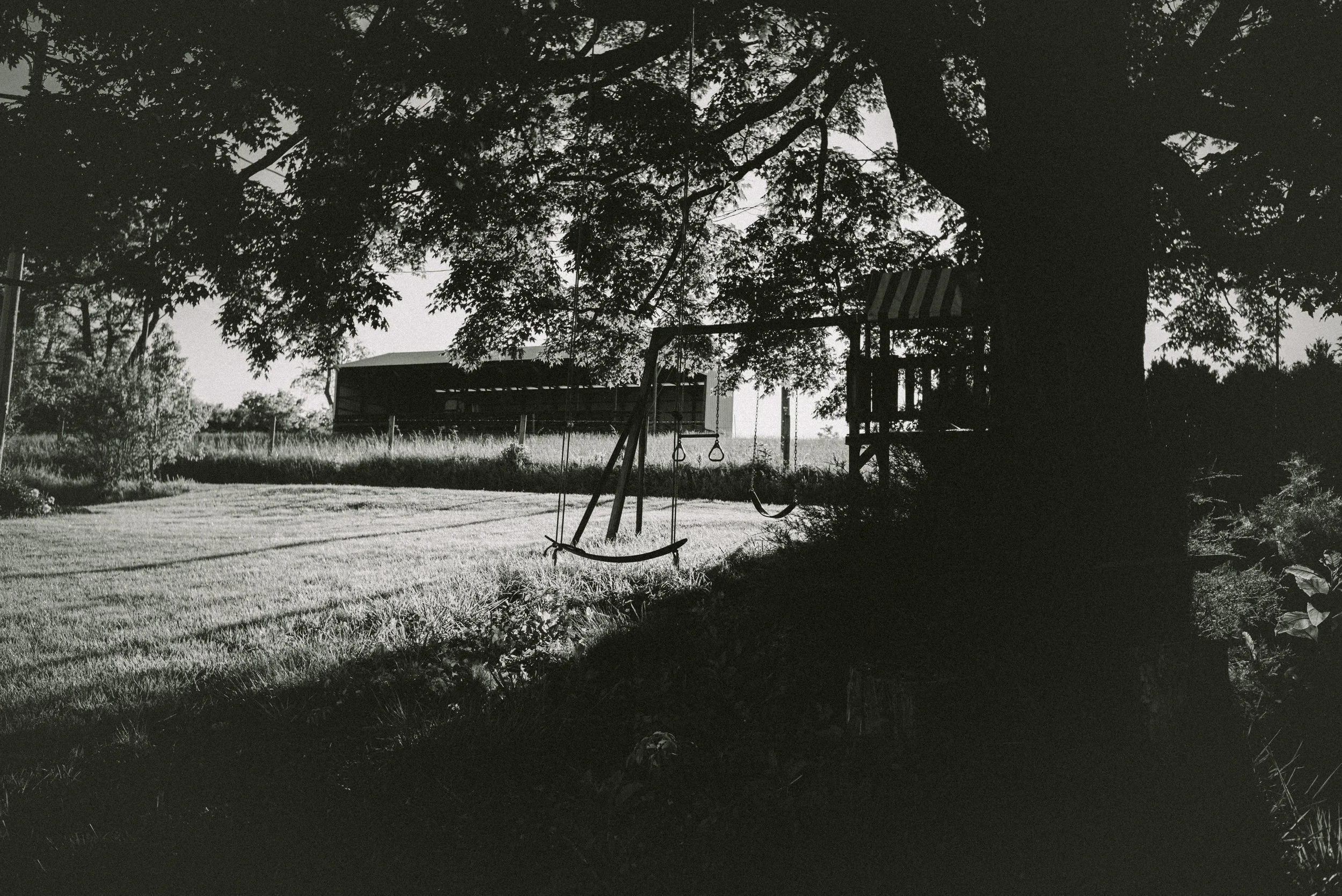 L1003792.jpg