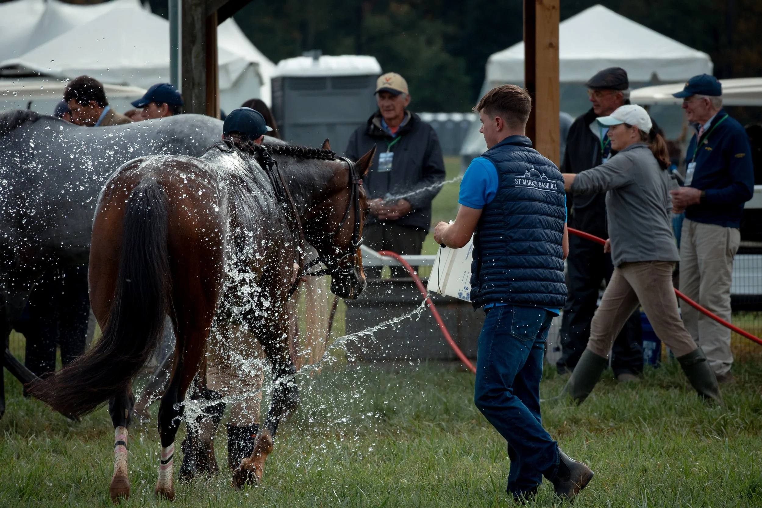 Horses are doused with buckets of water to help cool them down and rinsed with hoses to remove mud after racing at the Foxfield Fall Races on Sunday, Oct. 4, 2026, in Albemarle County, Va.