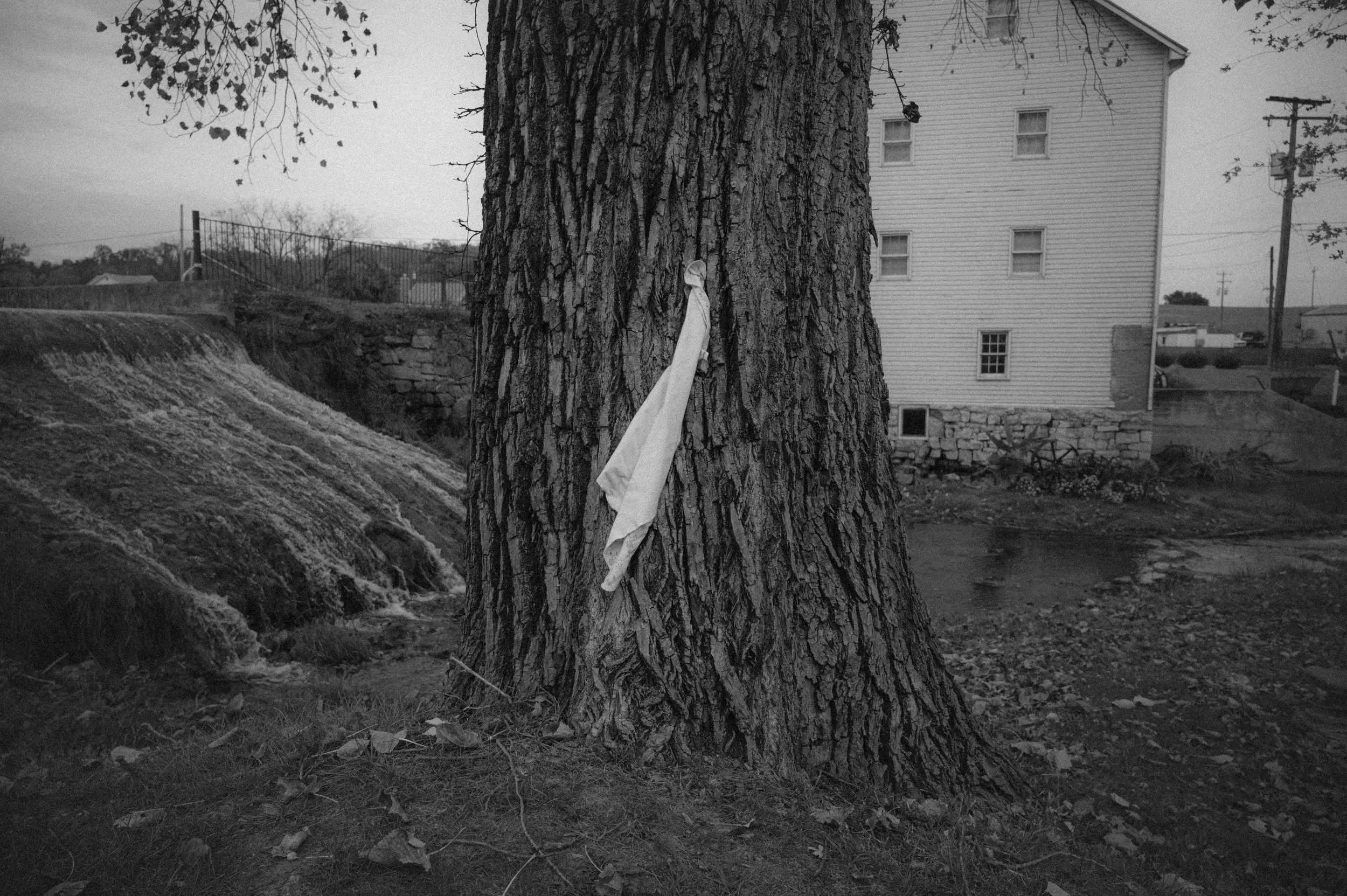 A large tree with textured bark in a yard, with a white cloth hanging on its trunk. In the background, there's a house with white siding, a small window, and a stone foundation, along with a small waterfall or water feature and some utility poles.