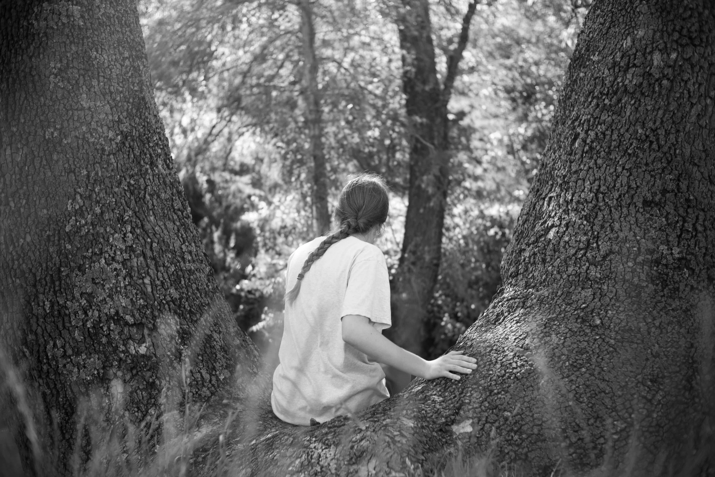 L1003236.jpg