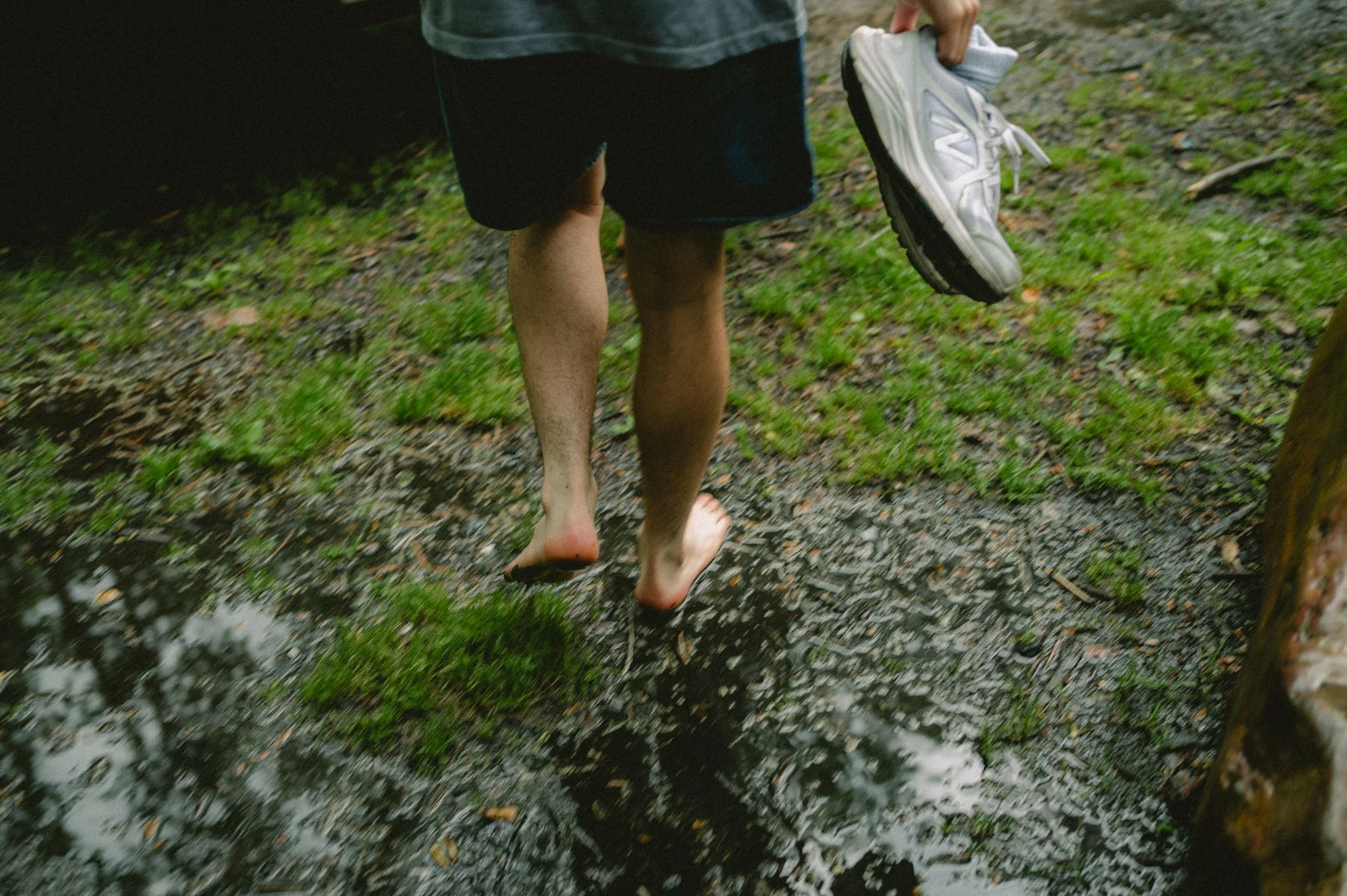 LAS_0342-2.jpg
