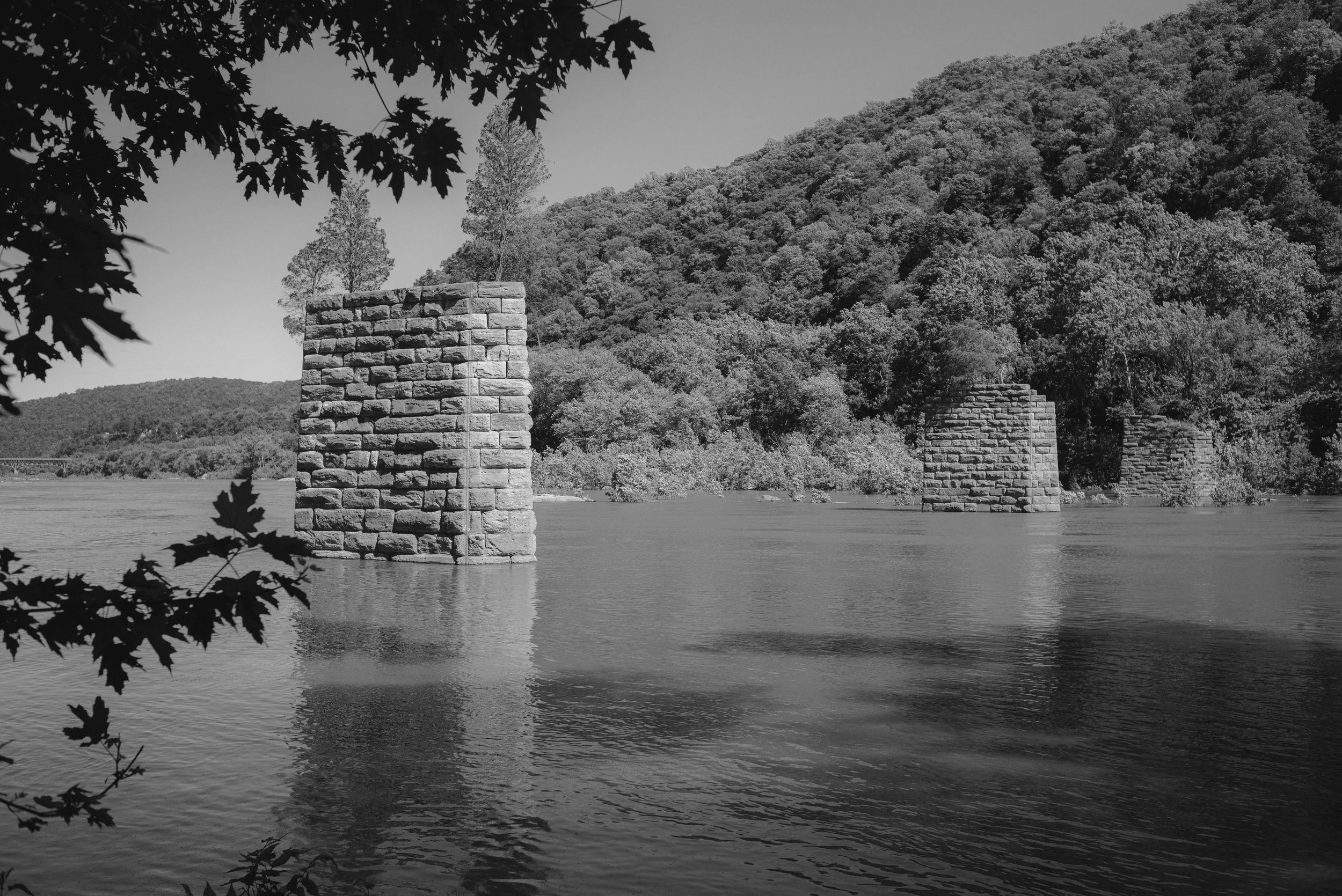 L1003336.jpg
