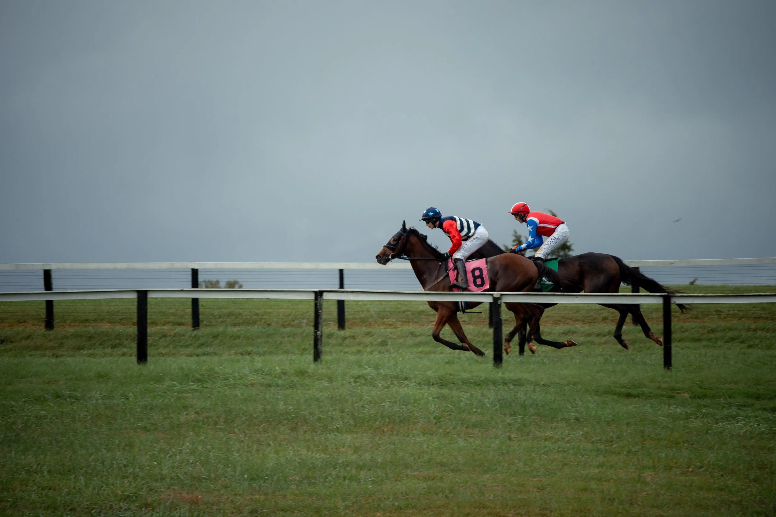 Jockeys aboard horses No. 8 and No. 6 race across the course during the Foxfield Fall Races in Charlottesville, Va., Sunday, Oct. 4, 2026.