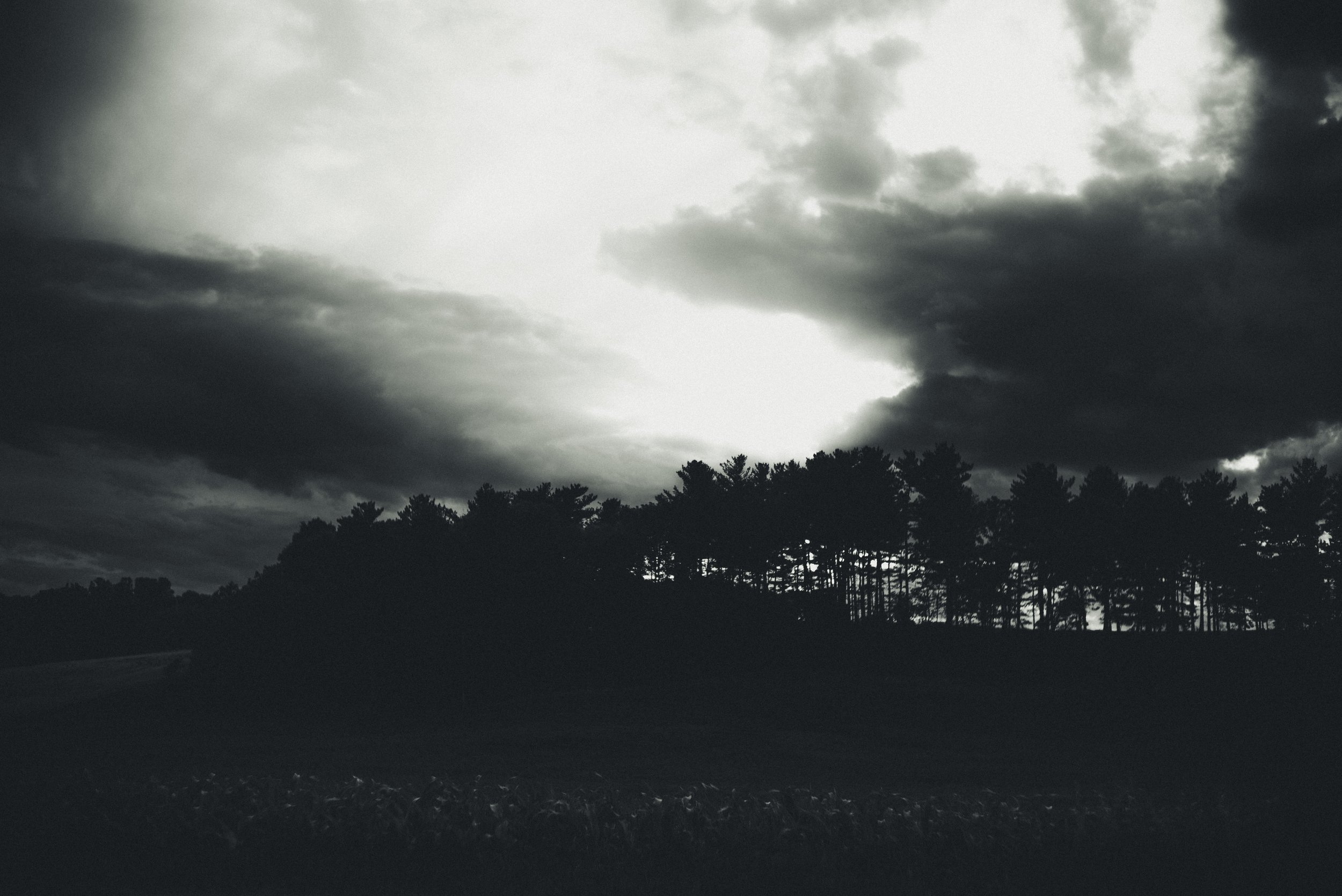 L1003638.jpg