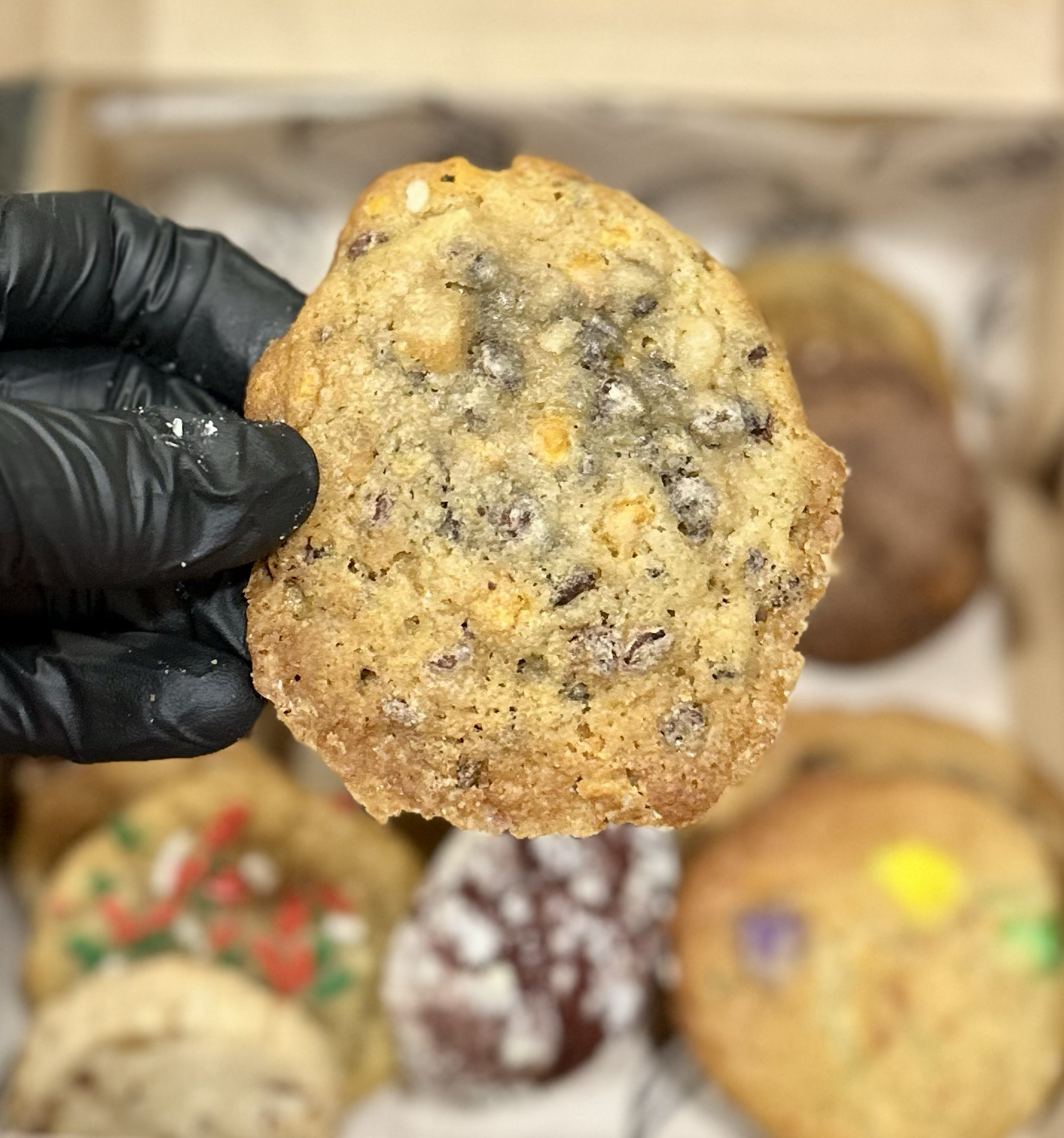 Choco Chip Butterscotch Crunch Cookie