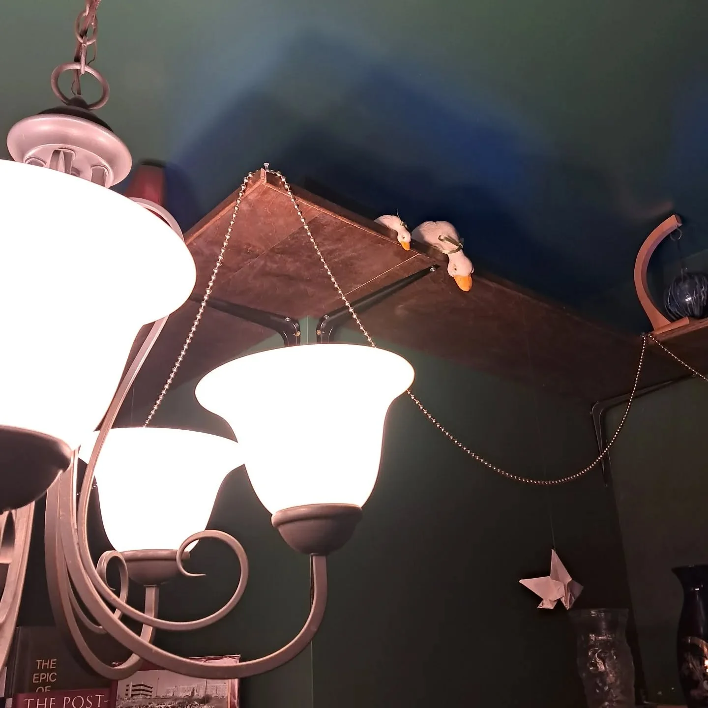 When you walk in the door make sure to look up and say hello to the security ducks. They make sure we are protected and snail free.