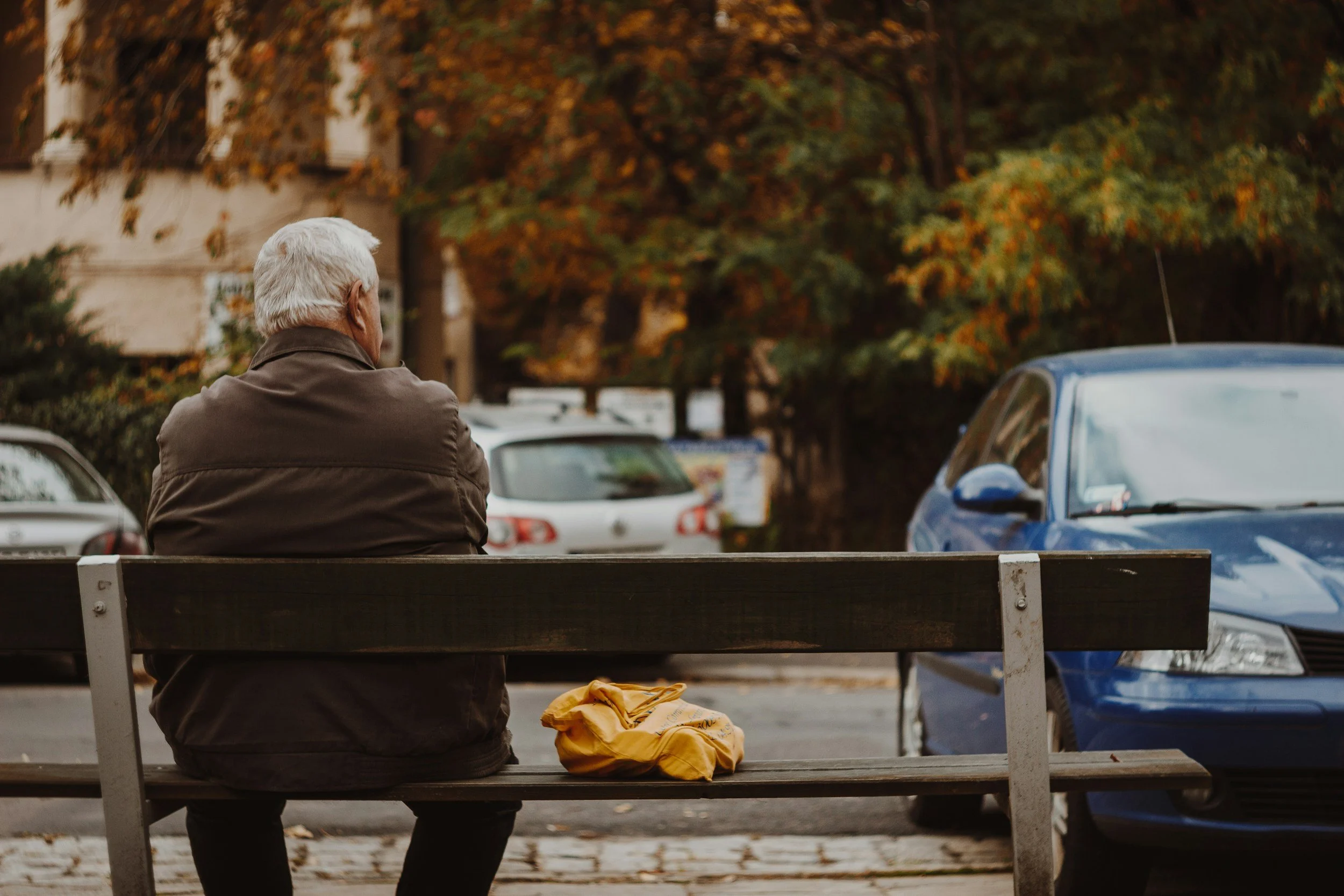 Dementia Guideposts
