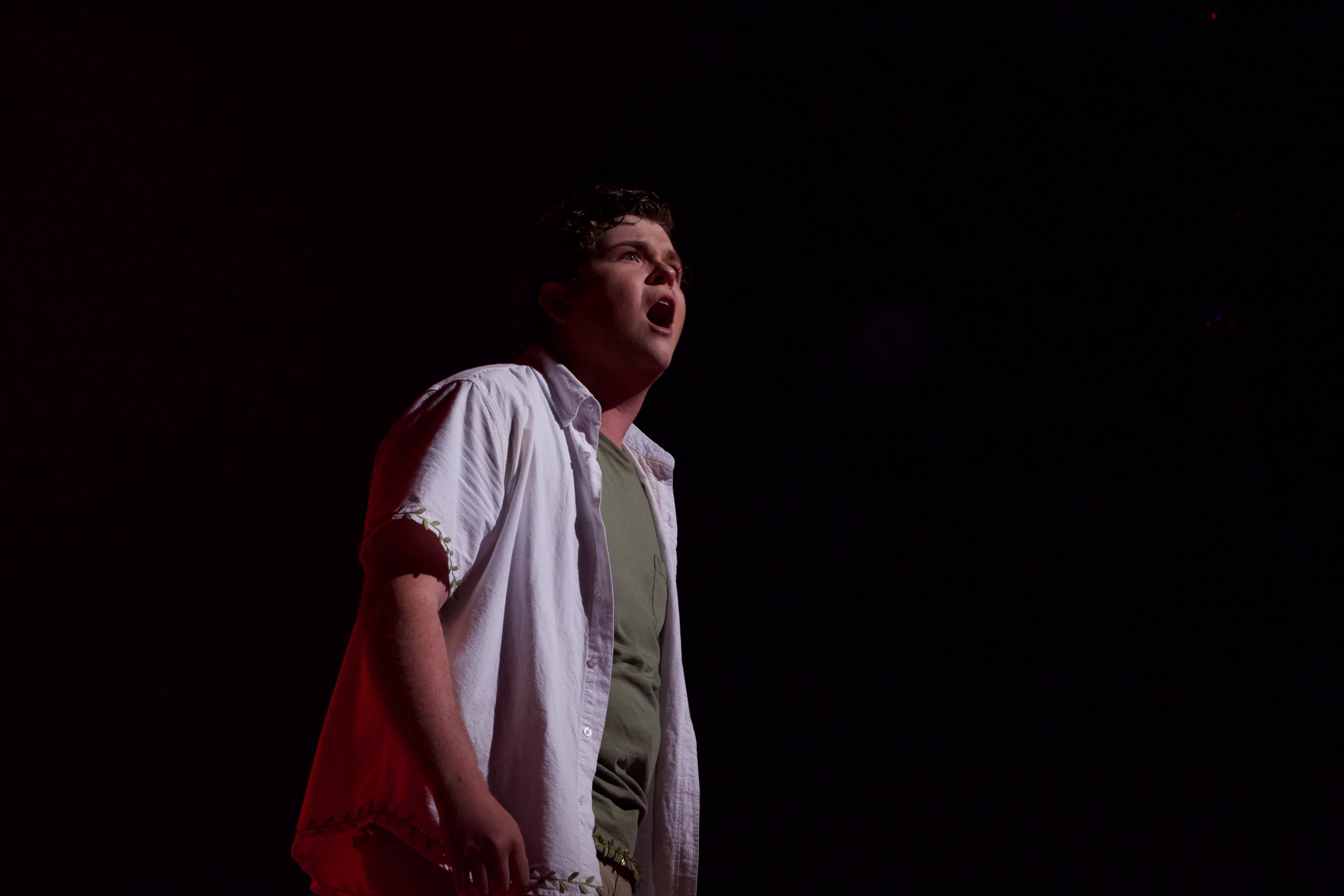 By Ann-Houston Campbell