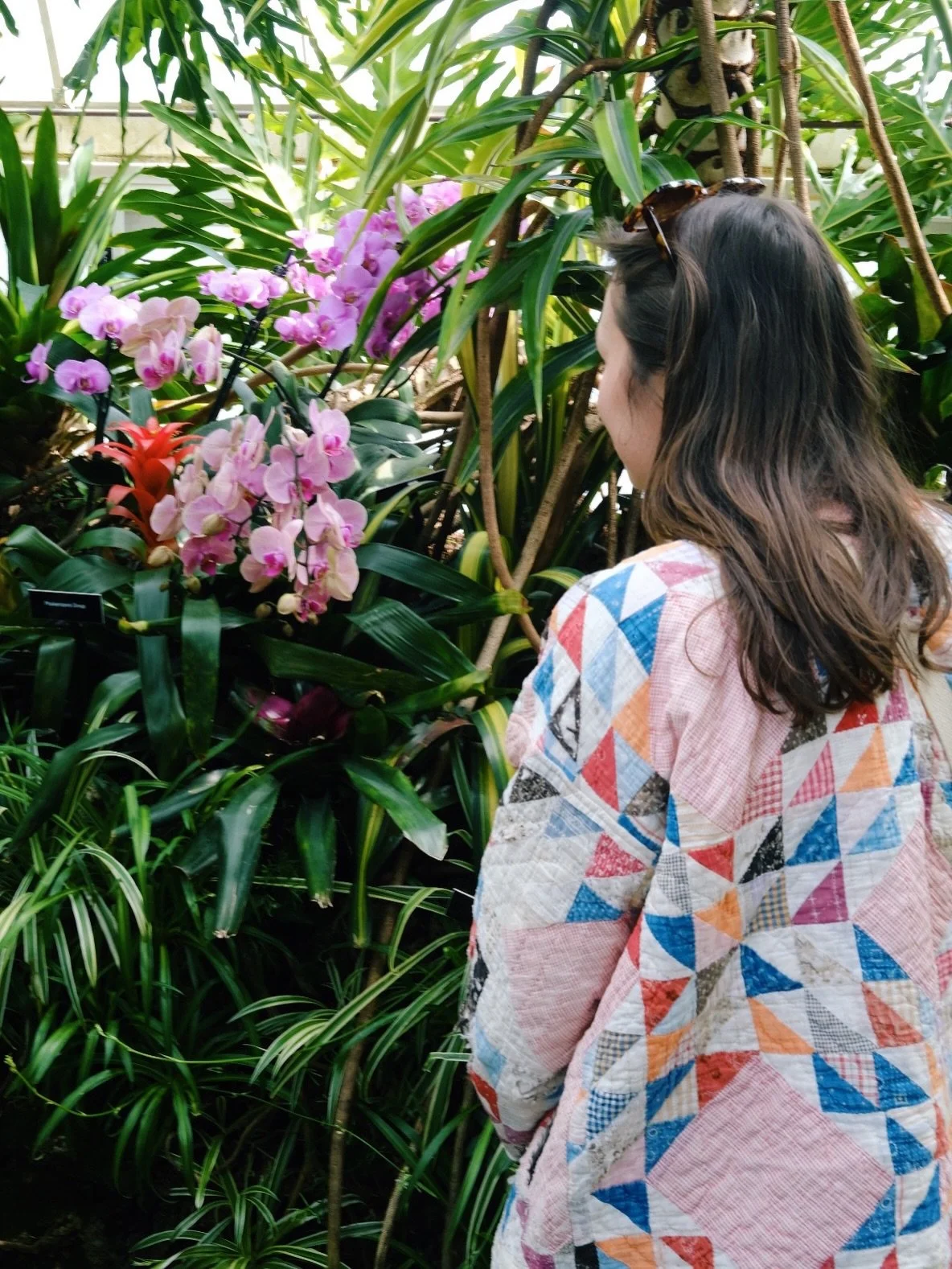 I wish you could smell those hyacinths holyyyy

Got to play around with my new camera at Phipps with my &hearts;️ this weekend 

#fujifilm #quiltcoat #spring #florajacket #slowfashion
