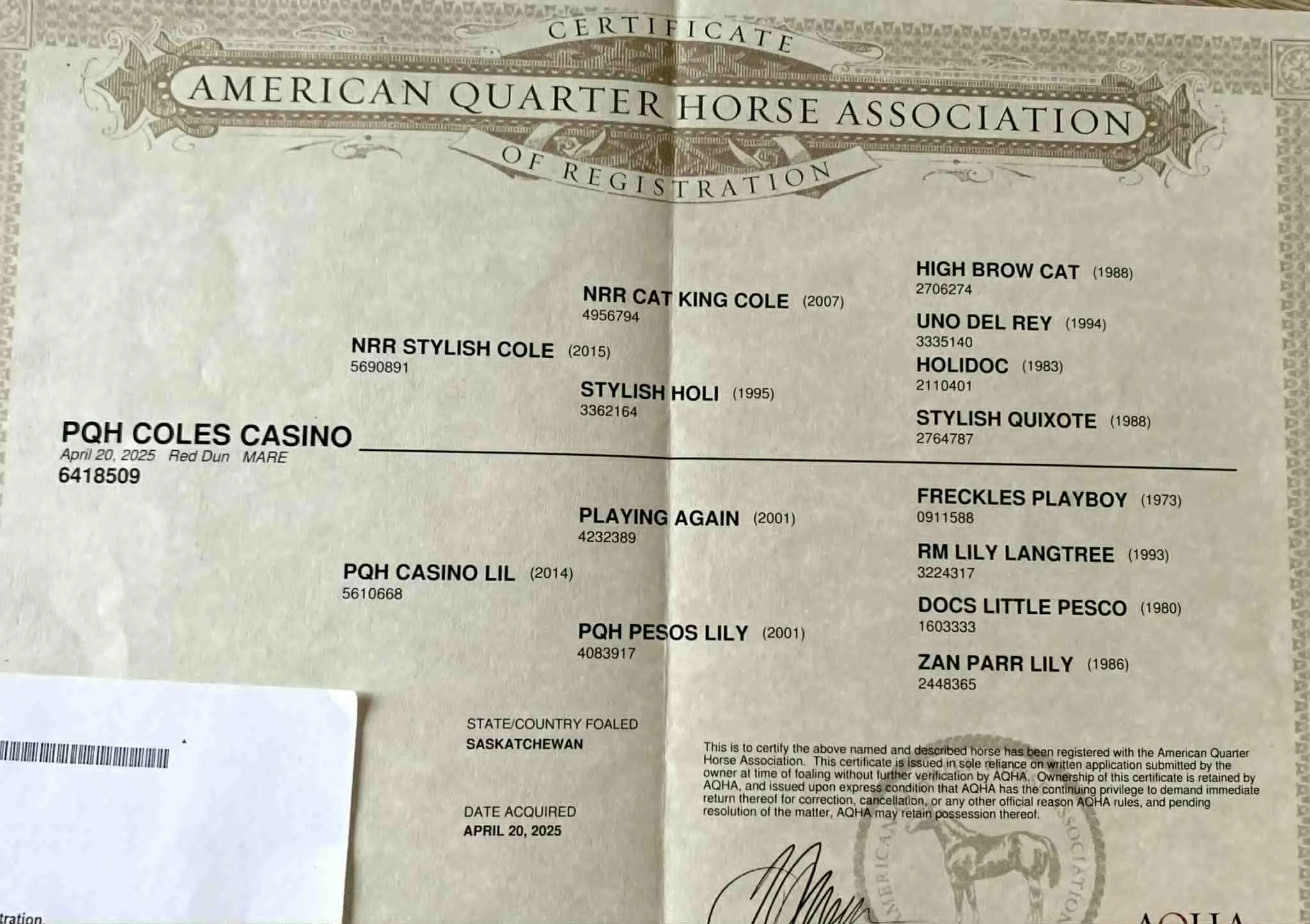 A certification document from the American Quarter Horse Association listing various registered horse names, registration numbers, and birth years, along with a signature and official stamp.