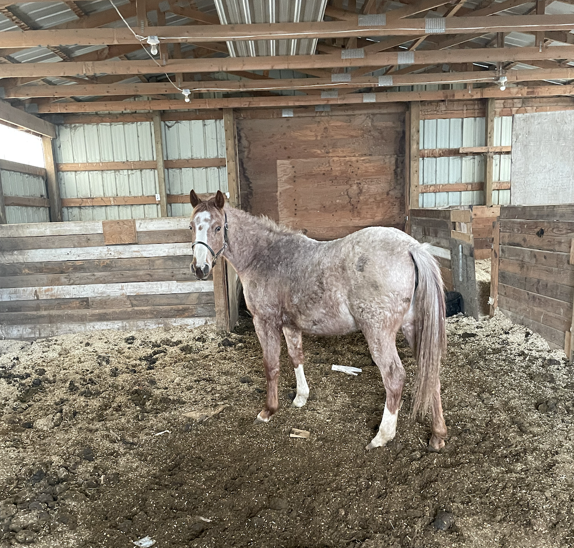 Screenshot 2026-02-23 at 12.09.58 PM.png