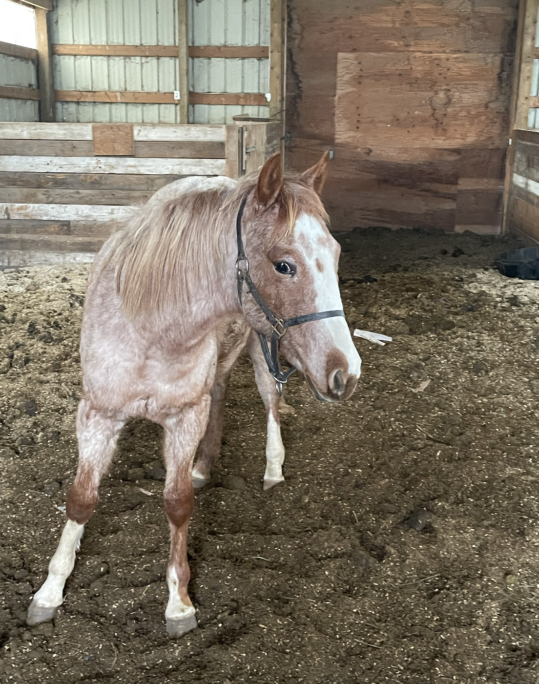 Screenshot 2026-02-23 at 12.10.04 PM.png