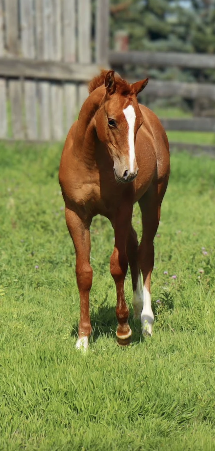 Screenshot 2026-02-23 at 8.12.14 PM.png