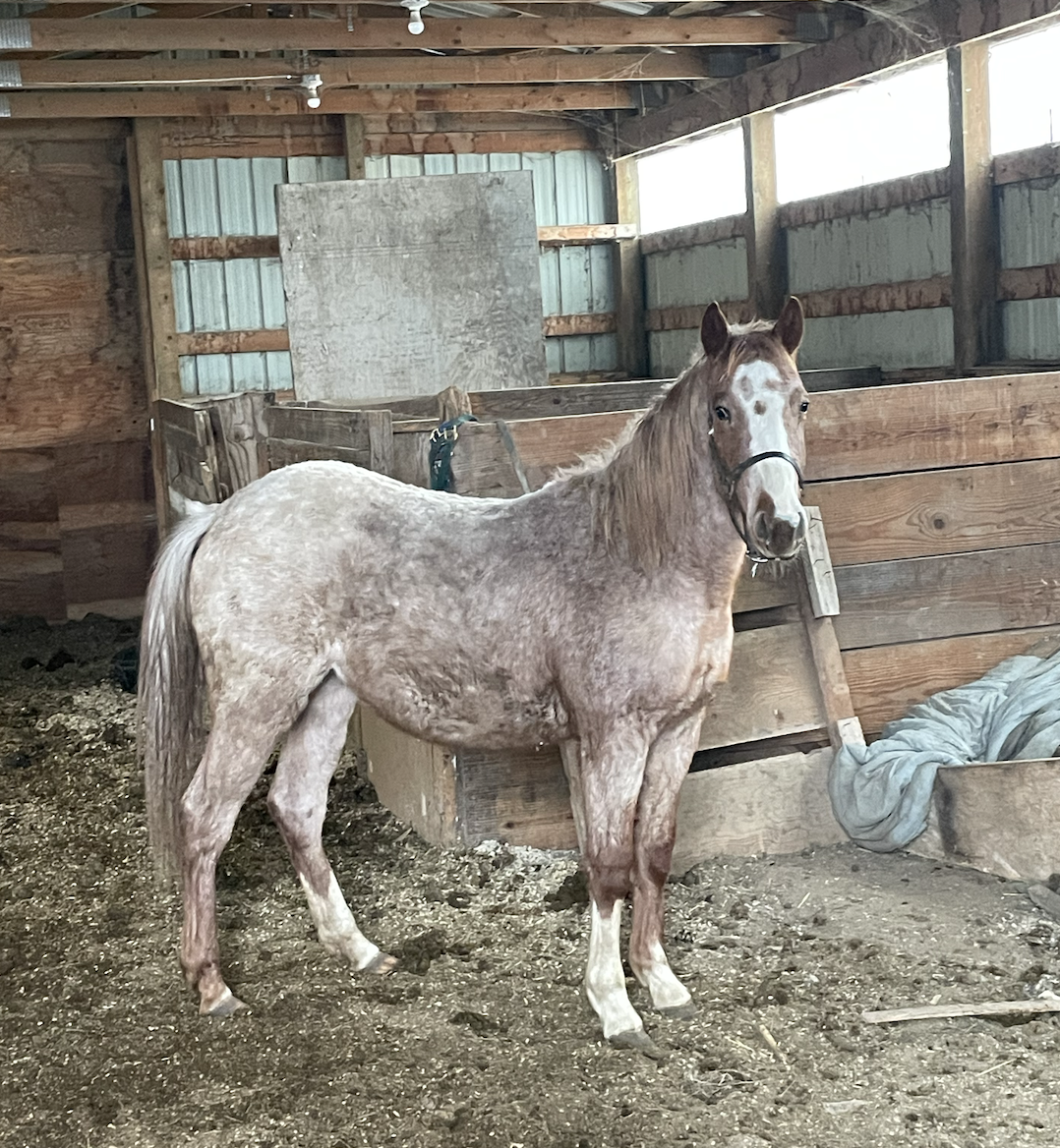 Screenshot 2026-02-23 at 12.09.54 PM.png