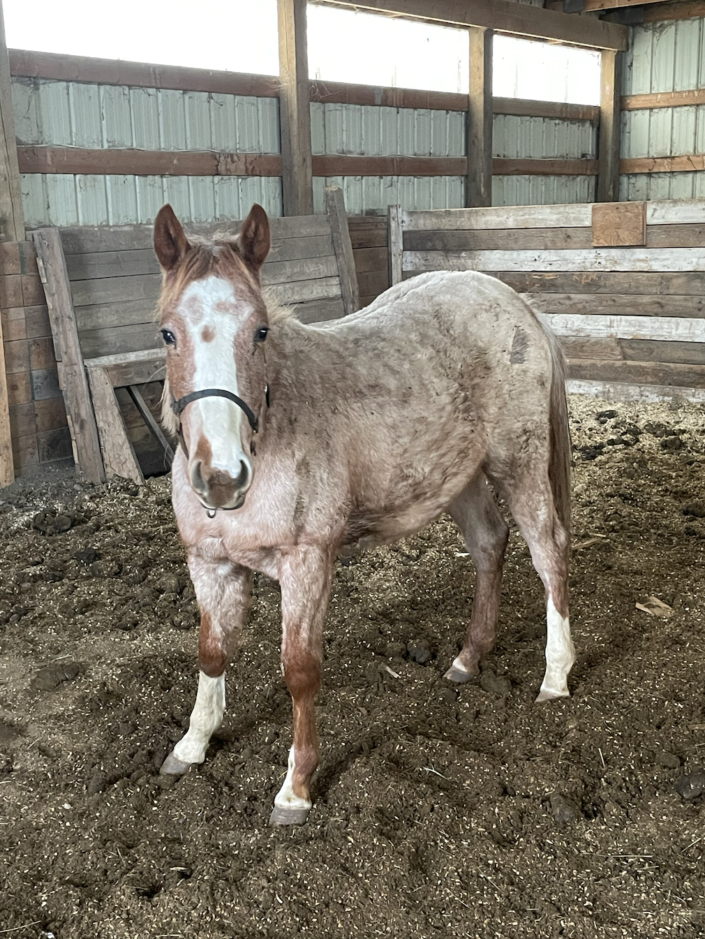 Screenshot 2026-02-23 at 12.10.02 PM.png