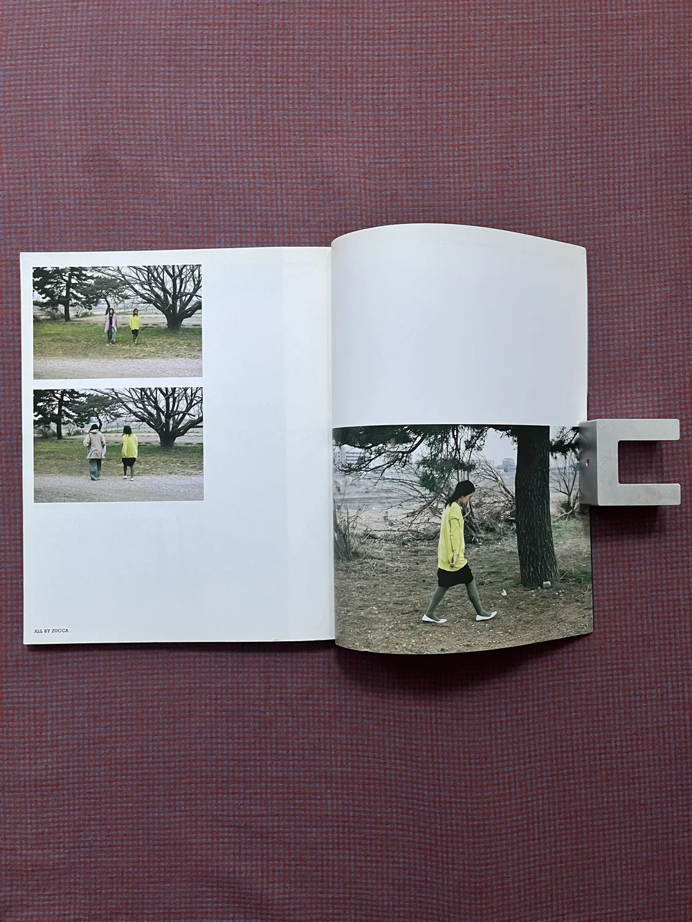 Purple Journal summer 2008