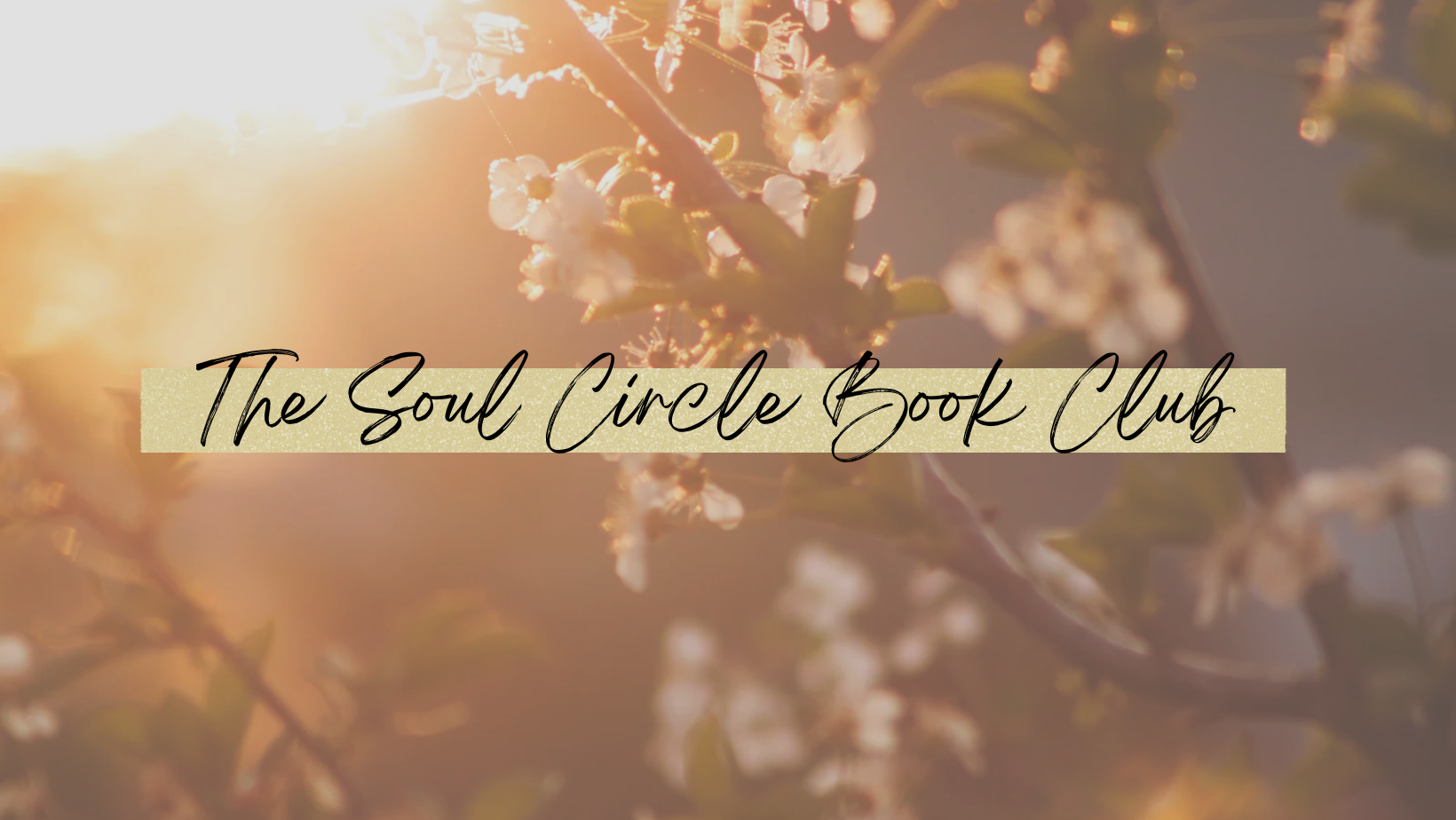 SOUL Circle Book Club