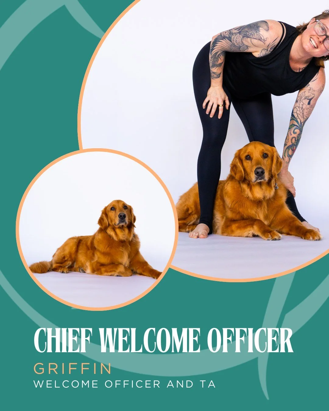 Meet our Chief Welcome Officer Griffin - or Max's Golden Shadow.

Commonly in the studio providing hellos and pets as you walk in the door - and happily checking in with everyone after class Griffin has become an integral part of the studio. 

When h