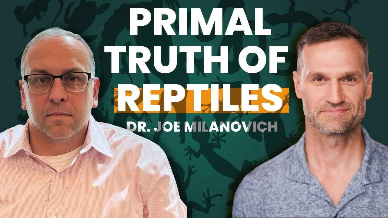 Why Reptiles and Amphibians Matter to our Ecosystems