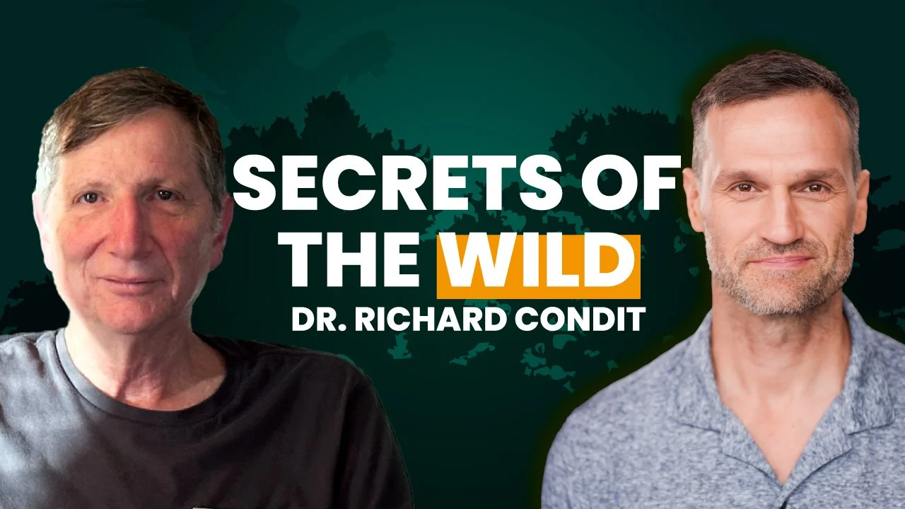 Secrets of the Wild: From Bowerbirds to Elephant Seals