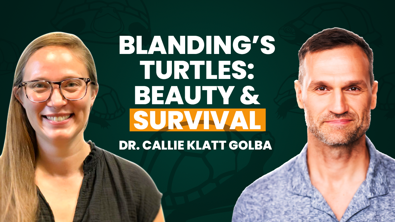 Can These Smiling Turtles Teach Us About Conservation?
