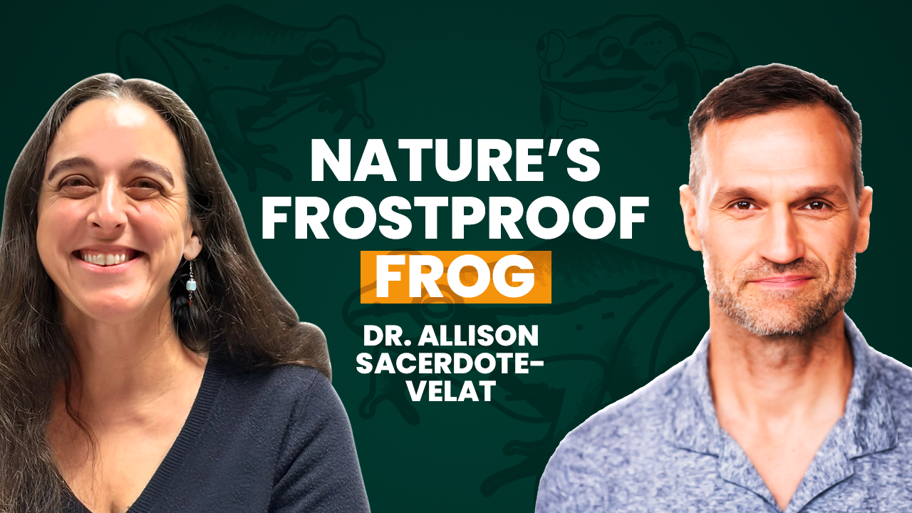 Snakes, Frogs, and the Secrets Living Beneath Our Feet