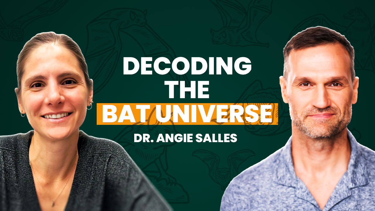 Bats Have Secret “Languages” (And We’re Finally Decoding Them)