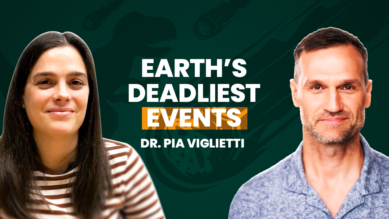 Are We Living Through a 6th Mass Extinction?