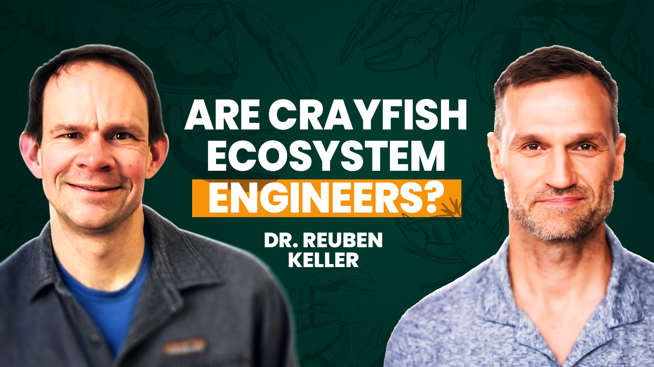 Lake Michigan's Crayfish Invasion Reveals a Brutal Truth About Global Trade