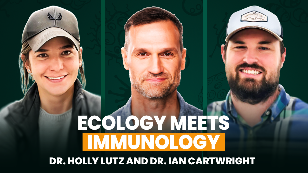 Bats, Microbiomes, and the Science We Still Don’t Know