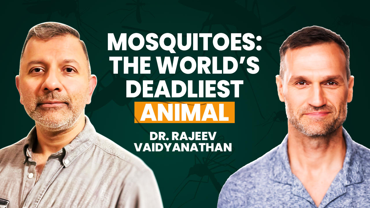 Climate Change Just Made Mosquitoes More Dangerous