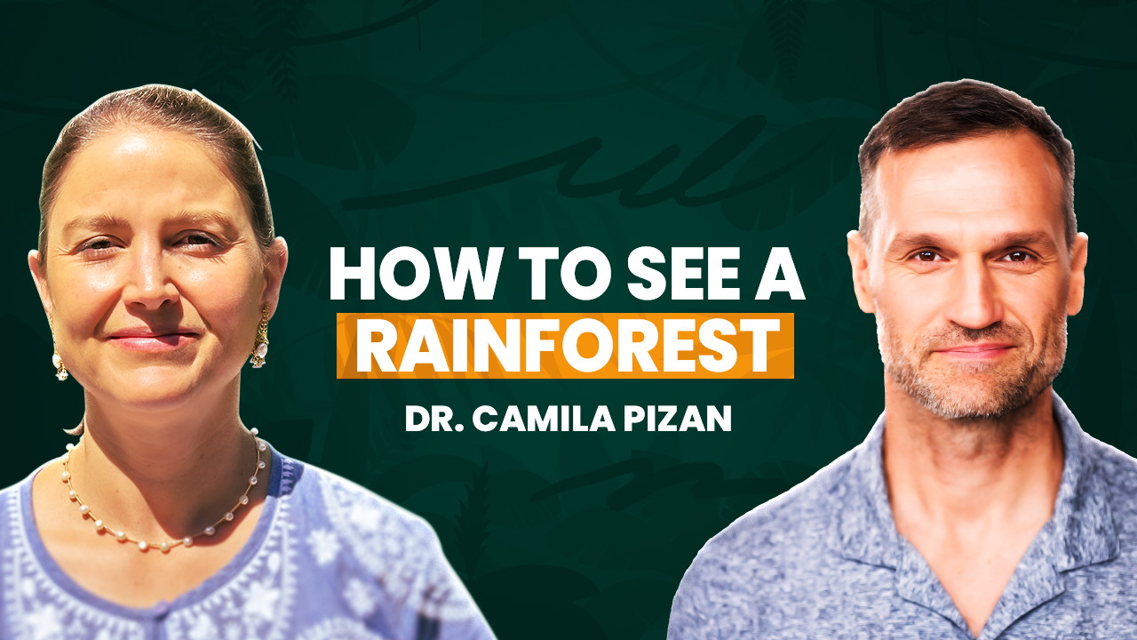 The Forgotten Forest That Could Change How We See Nature