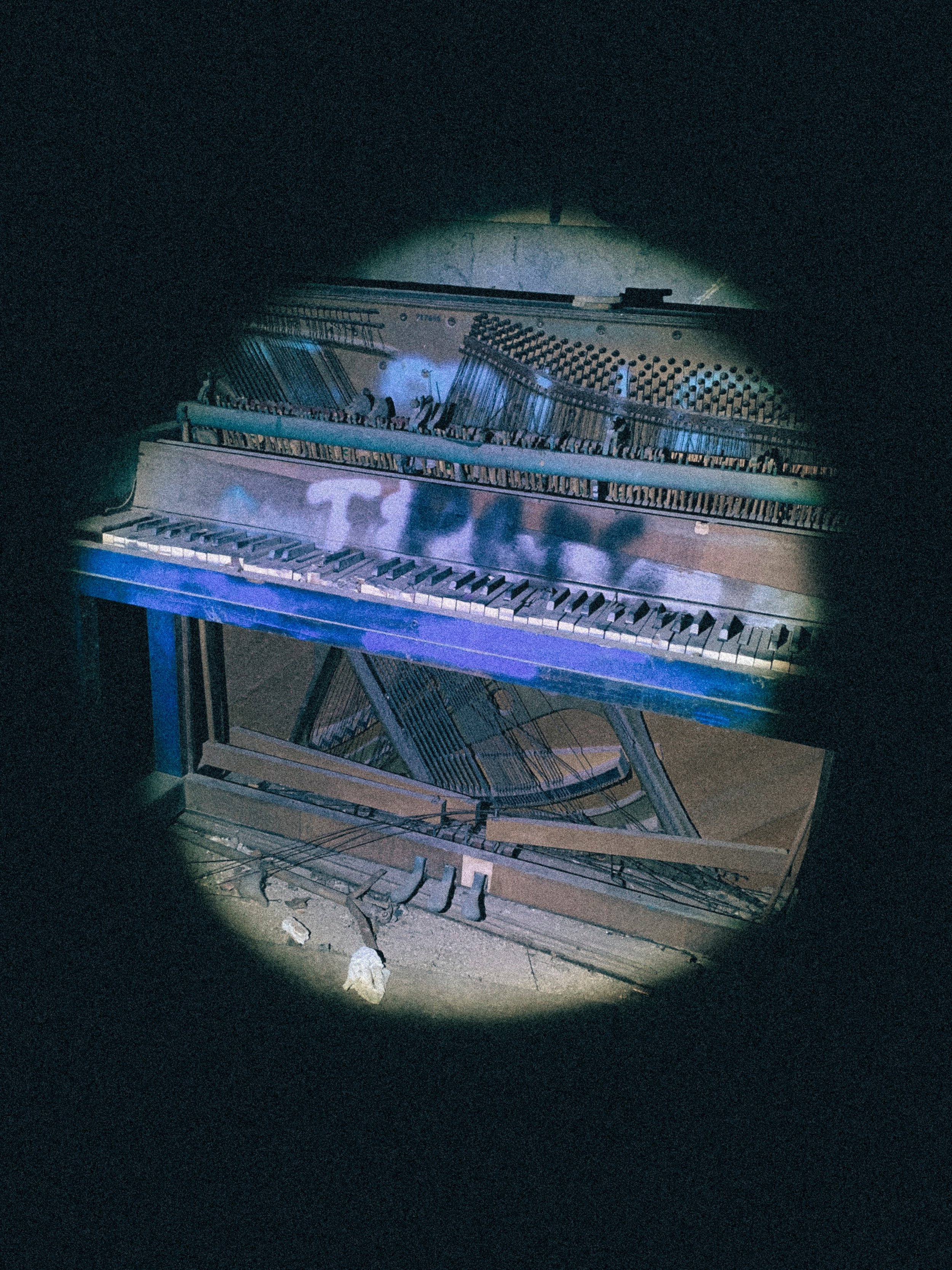 IGP-127.jpg