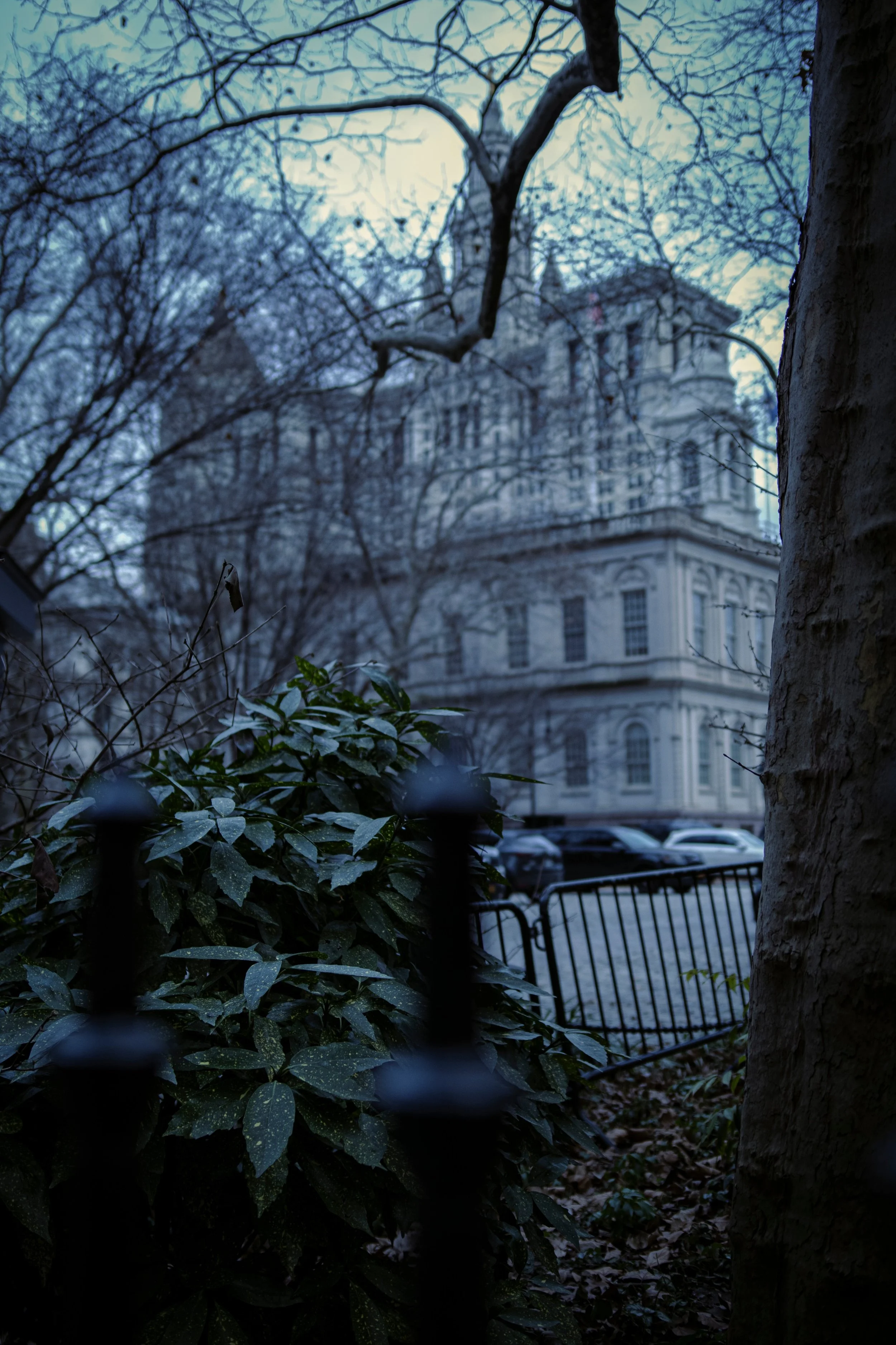 IGP-050.jpg
