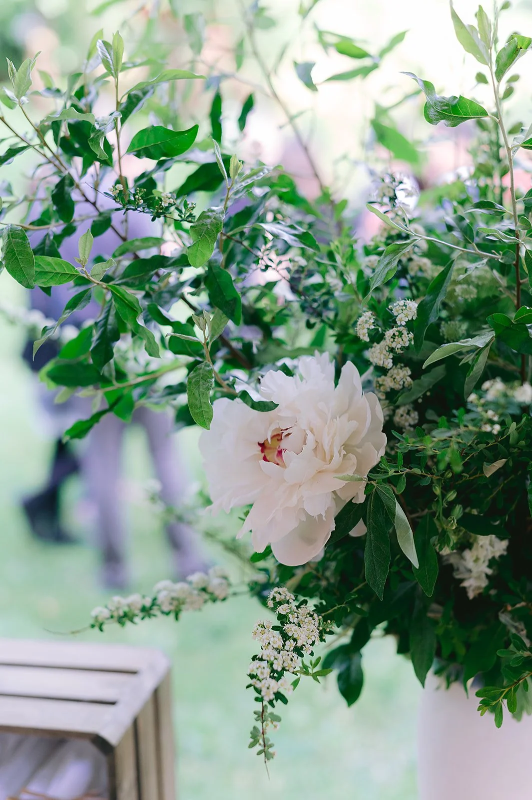 HannahJanPhoto_WalkerKate_BackyardWedding_Pleasantville_NY_5.28.22 (346 of 630)_websize.jpg