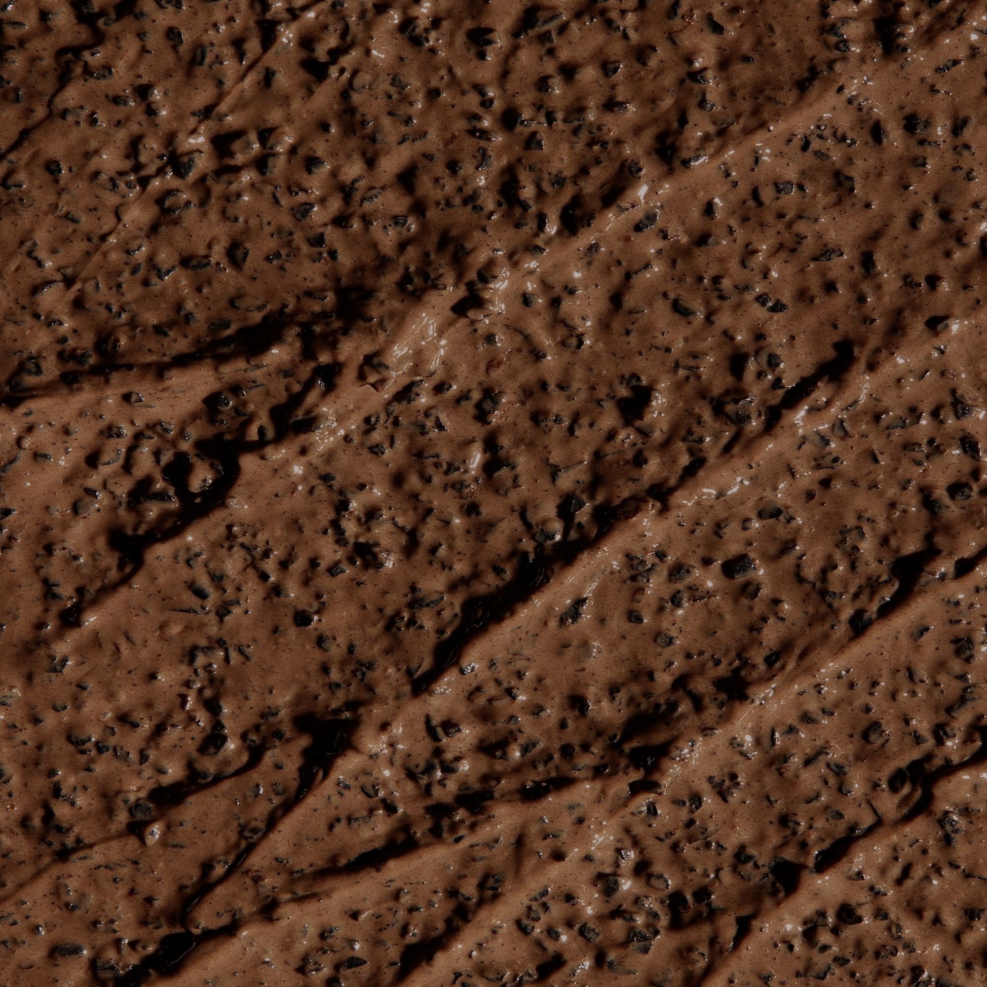 990004500005_02.jpg