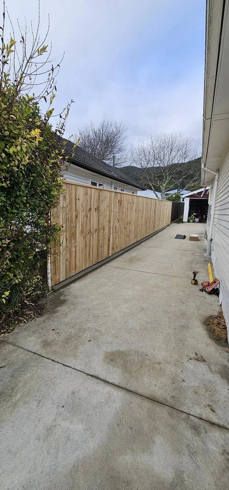 new paling fence with concrete nib