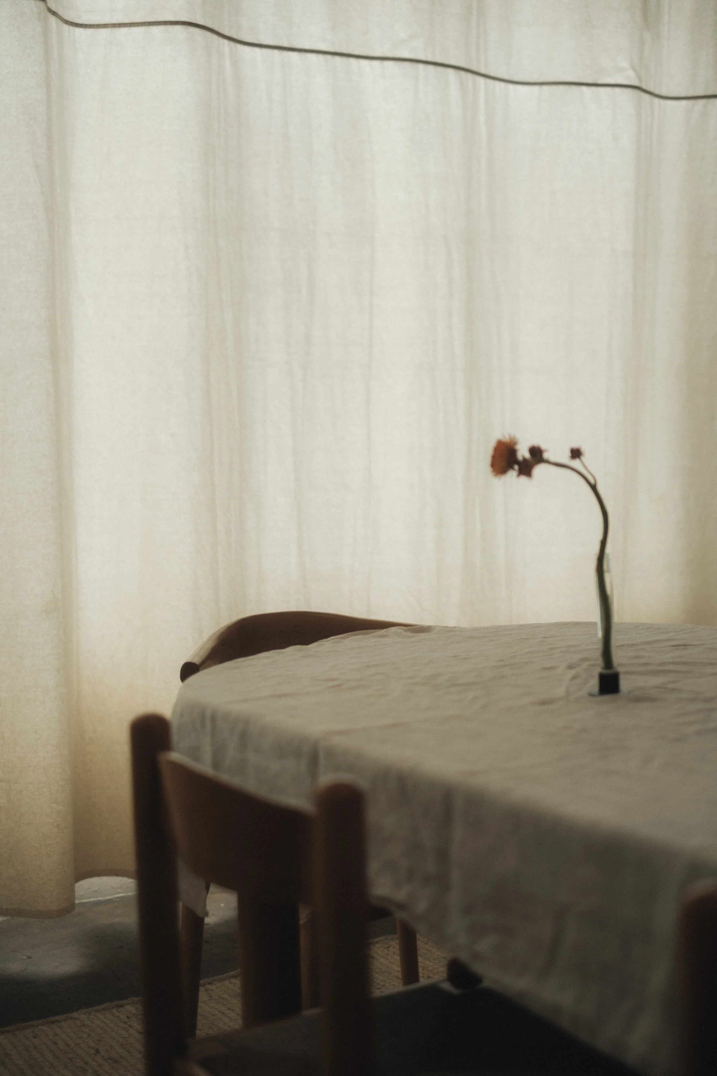 A small table with a beige tablecloth, a single wilted flower in a thin, curvy vase, and a wooden chair nearby, with a beige curtain with vertical lines in the background.