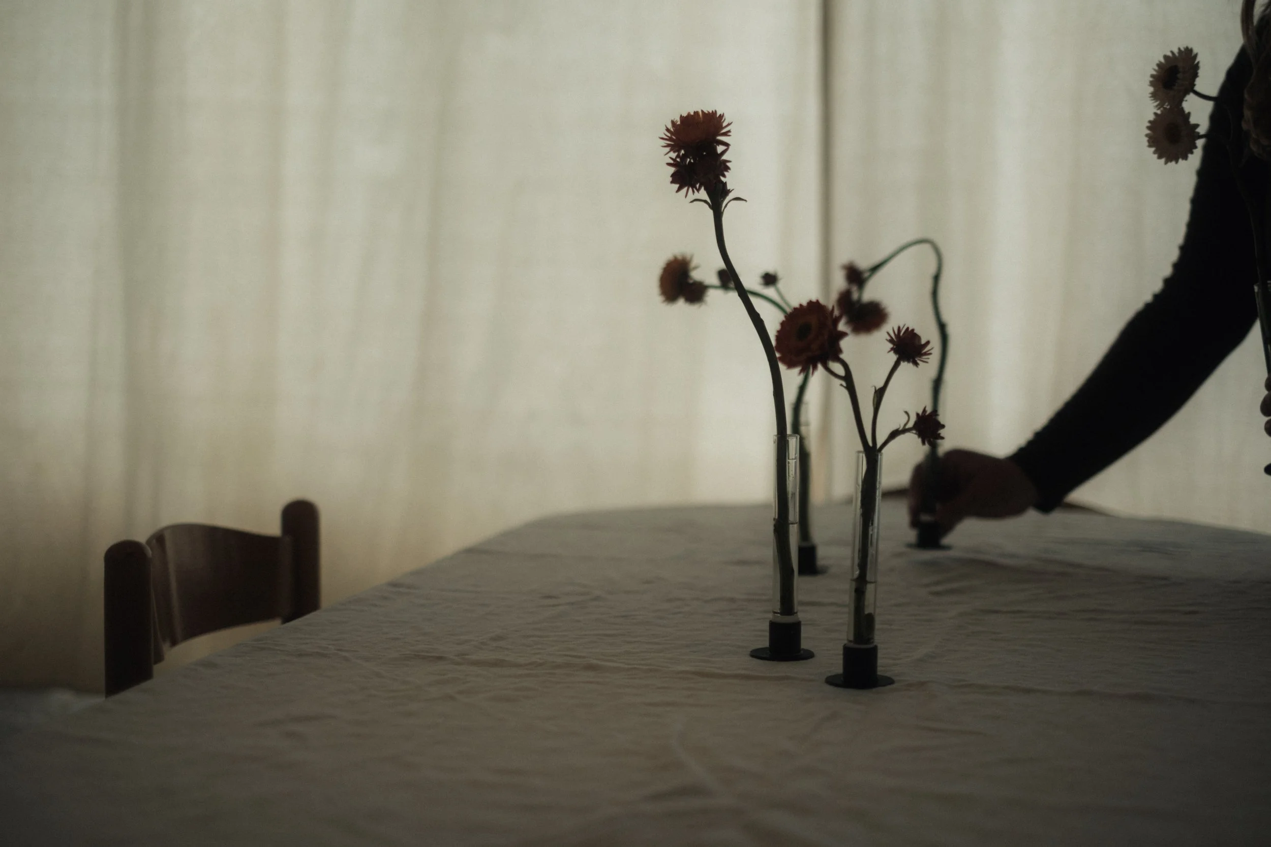 Silhouettes of flowers in glass vases on a table, with a faint, curtain behind. The image appears to be taken in low light, creating a shadowed effect.