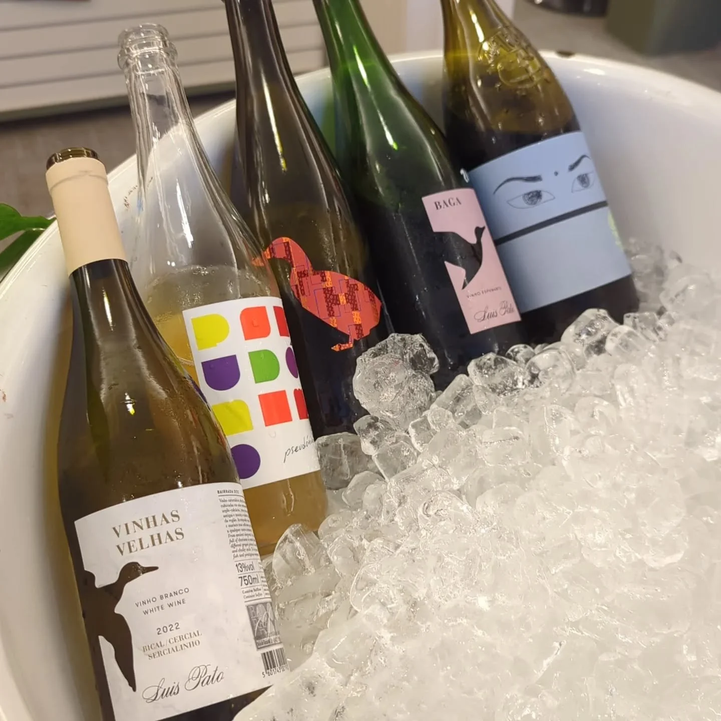 Tasting today until 7. @benningtonvtfoodtruckfest is popping as well. Grab a taco and taste some cool Portuguese wine! Perfect for this sweltering day!