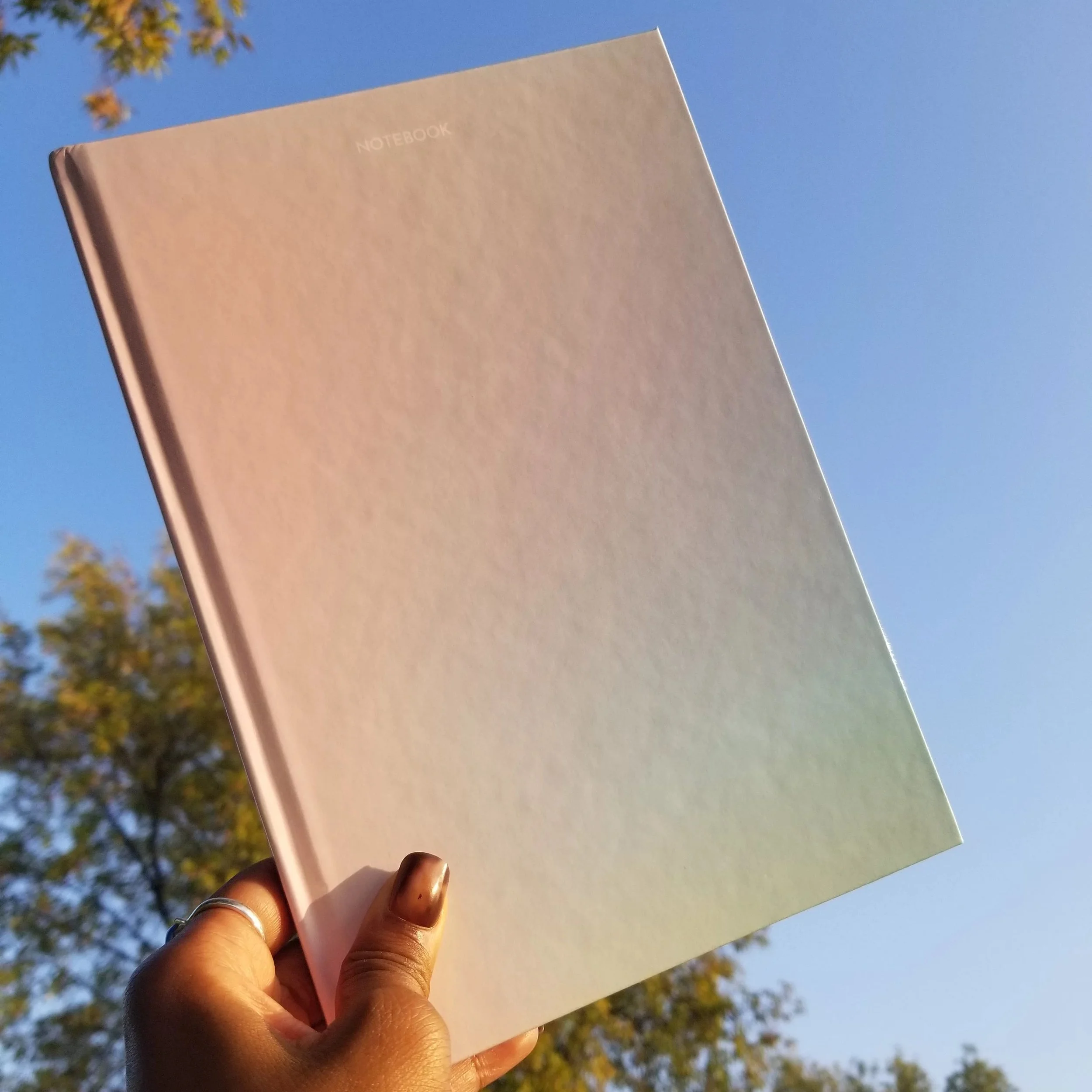 blank cover journal
