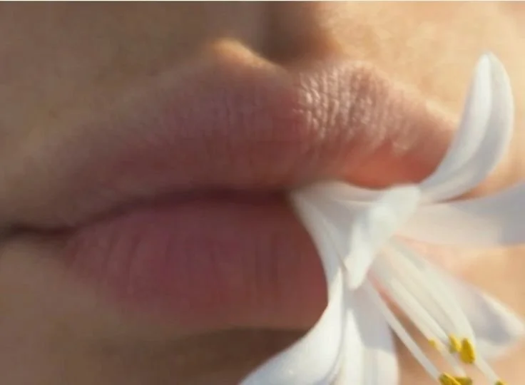 Why Modern Skin Is So Damaged 