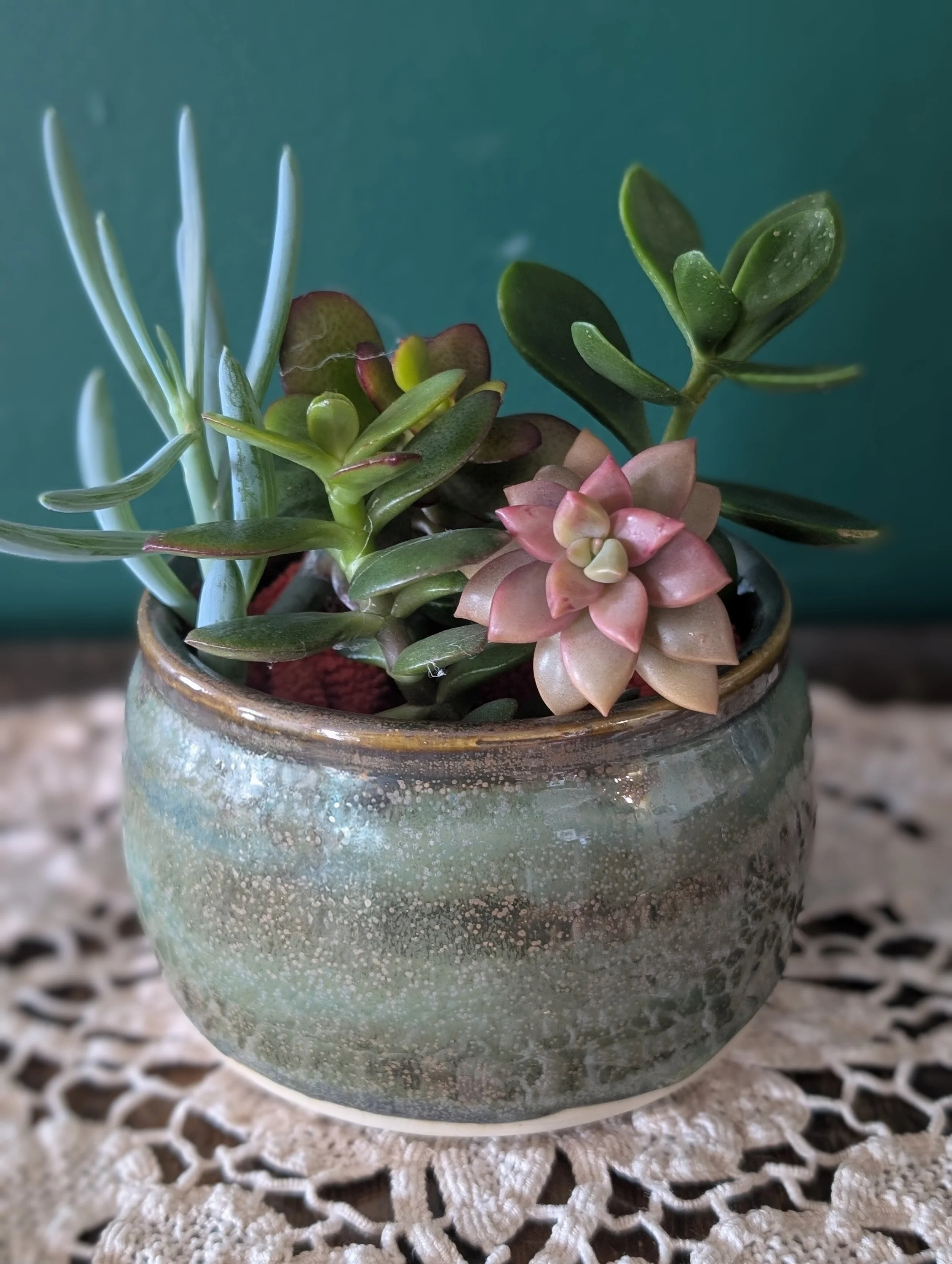 Small Planter in Green Walnut