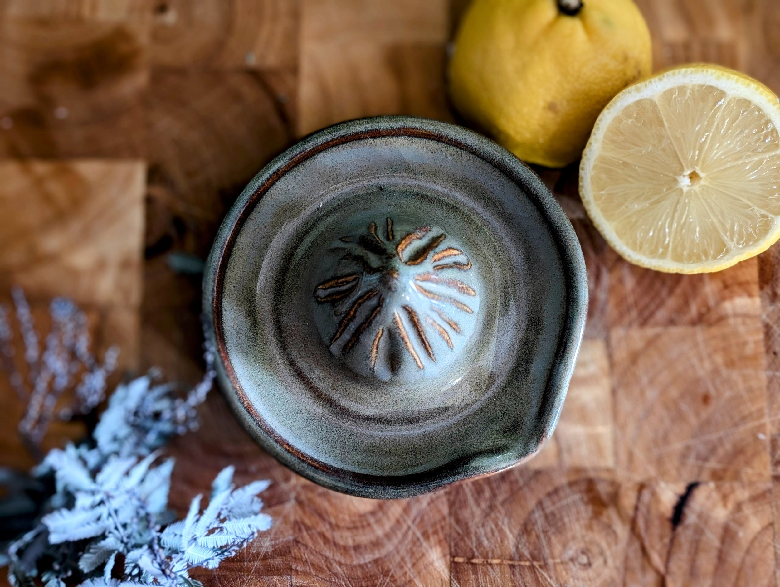 Juicer in Iron Rutile